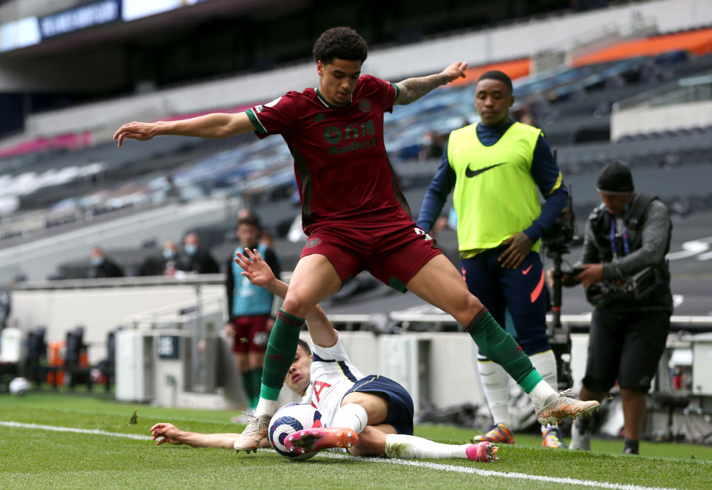 Tottenham Hotspur v Wolverhampton Wanderers - Premier League