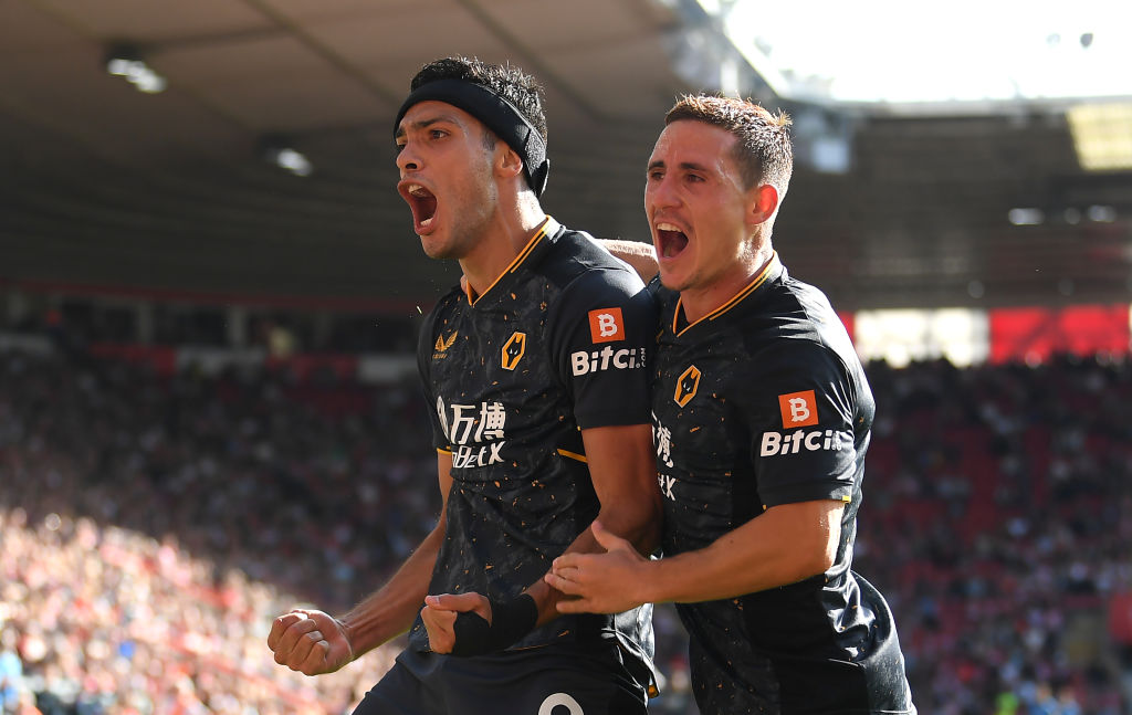 Southampton v Wolverhampton Wanderers - Premier League