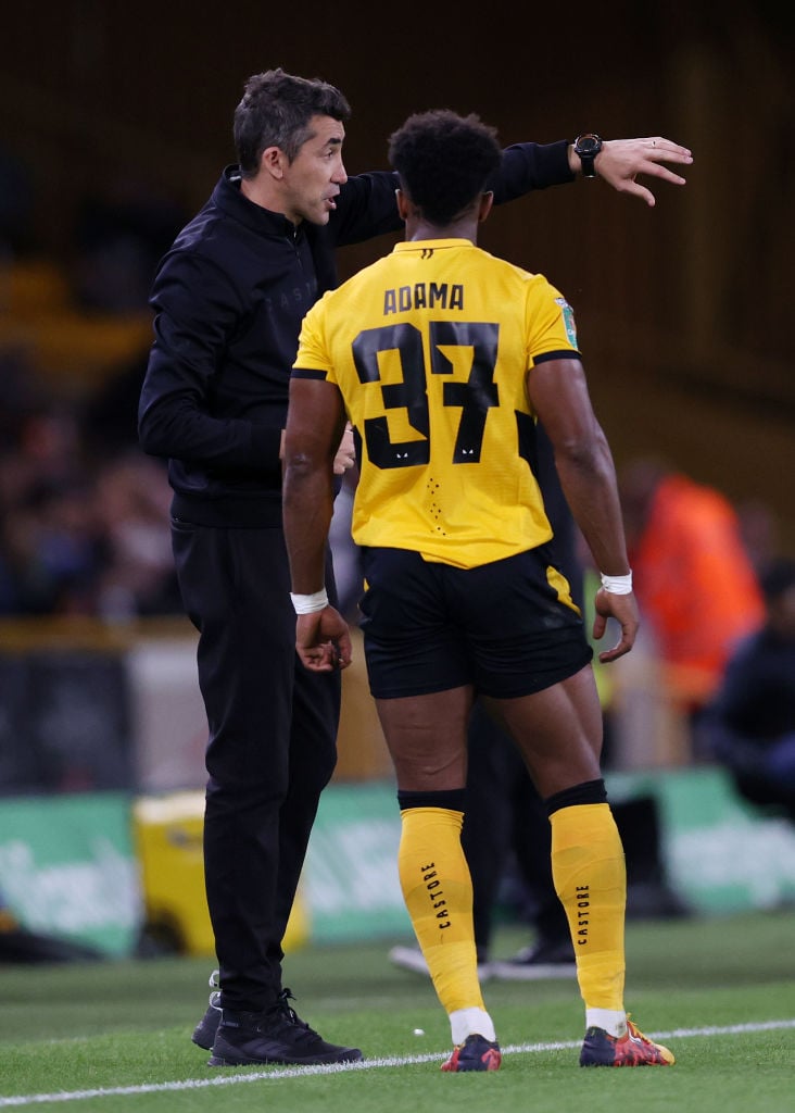 Wolverhampton Wanderers v Tottenham Hotspur - Carabao Cup Third Round