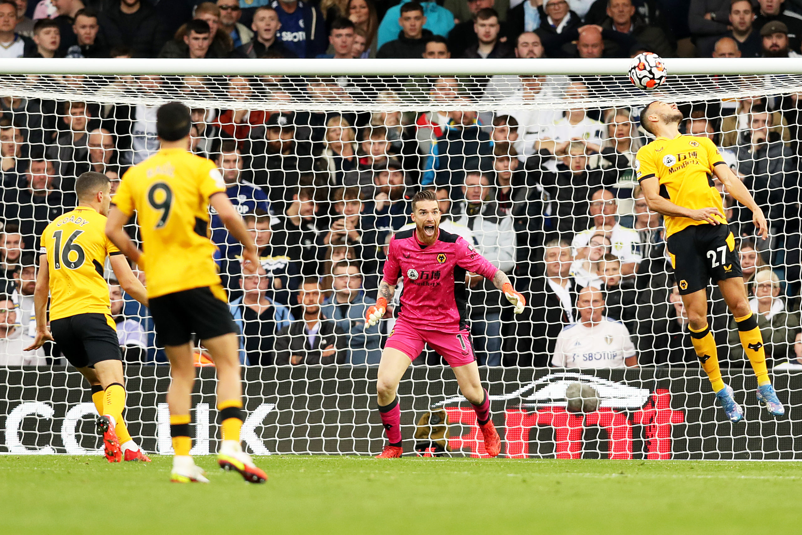 Photo by Jack Thomas - WWFC/Wolves via Getty Images