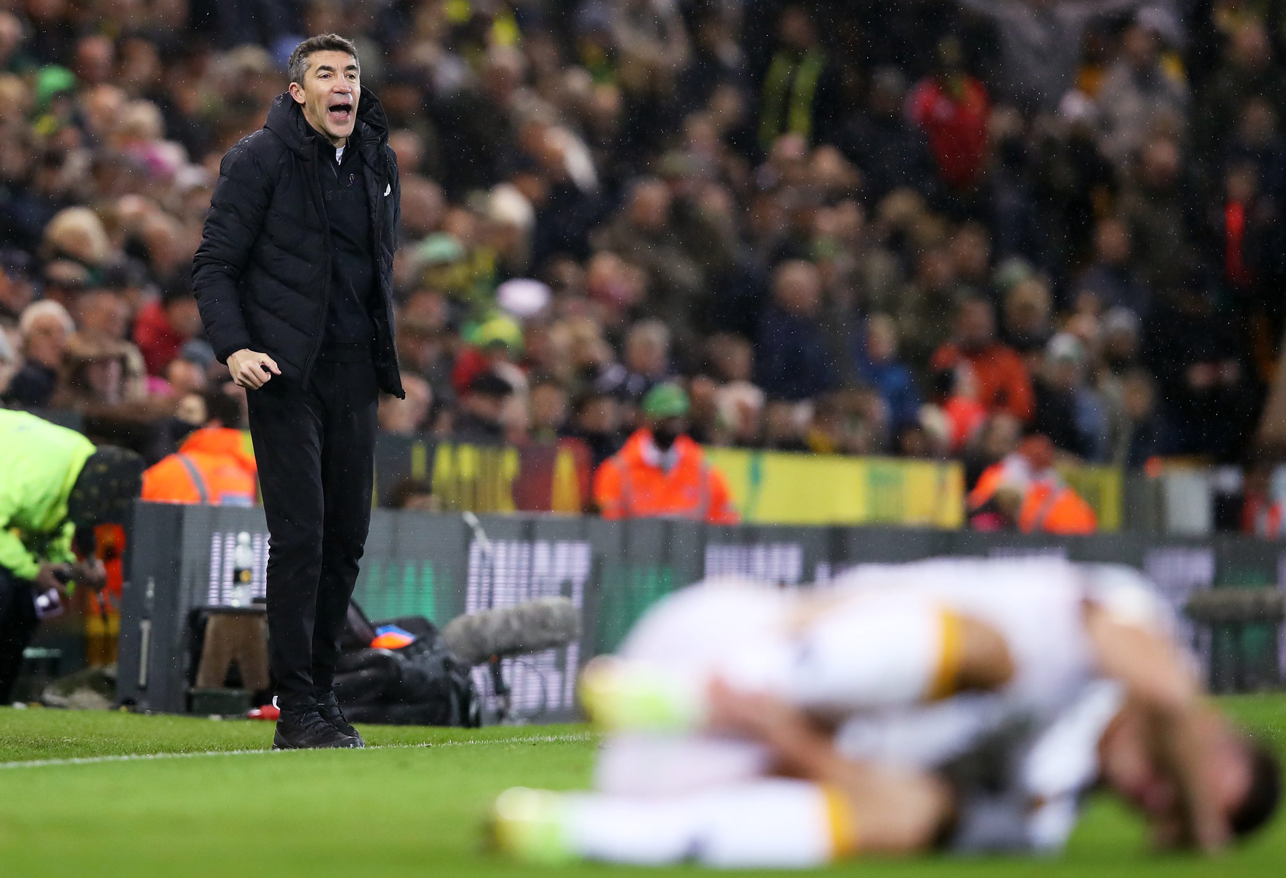 Photo by Jack Thomas - WWFC/Wolves via Getty Images
