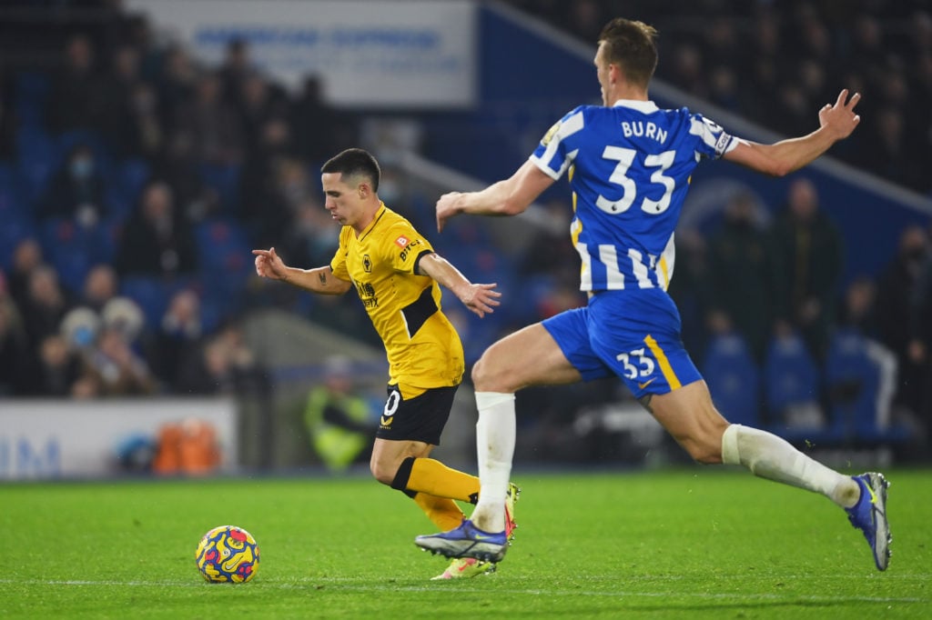 Brighton & Hove Albion v Wolverhampton Wanderers - Premier League
