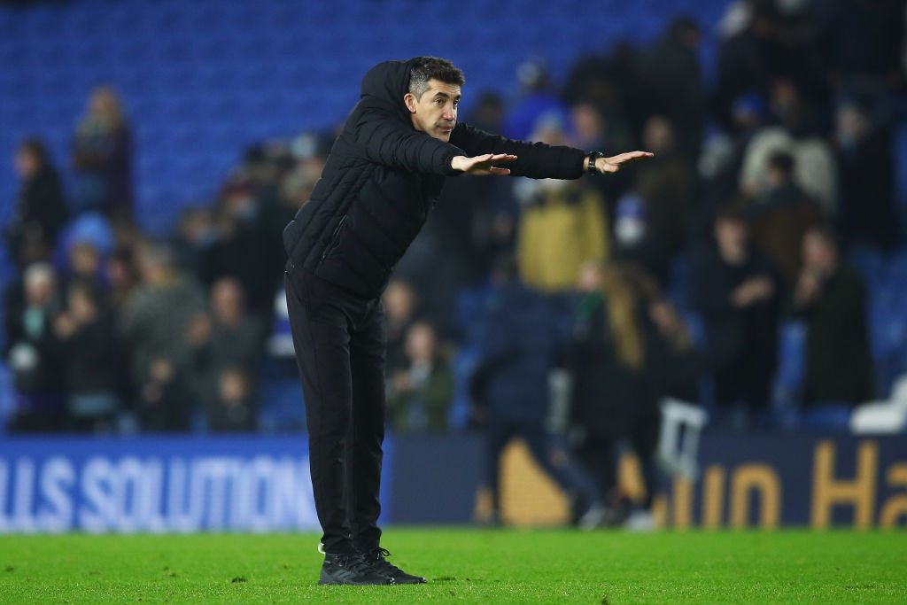 Brighton & Hove Albion v Wolverhampton Wanderers - Premier League