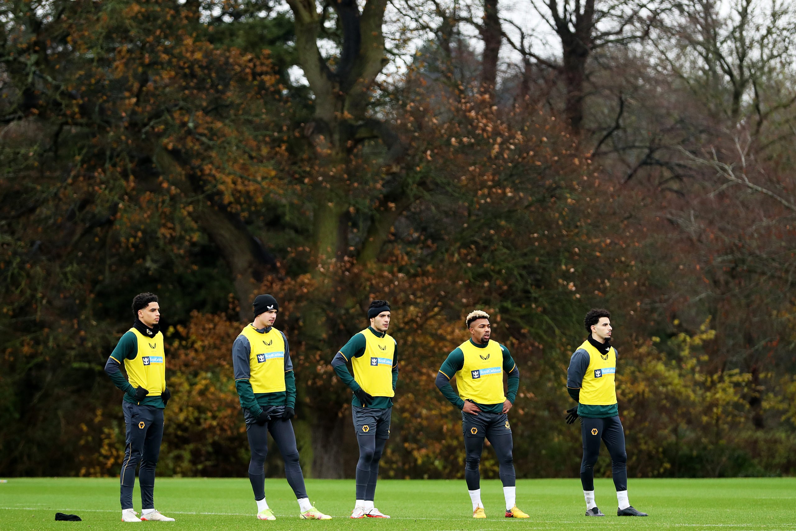 Photo by Jack Thomas - WWFC/Wolves via Getty Images