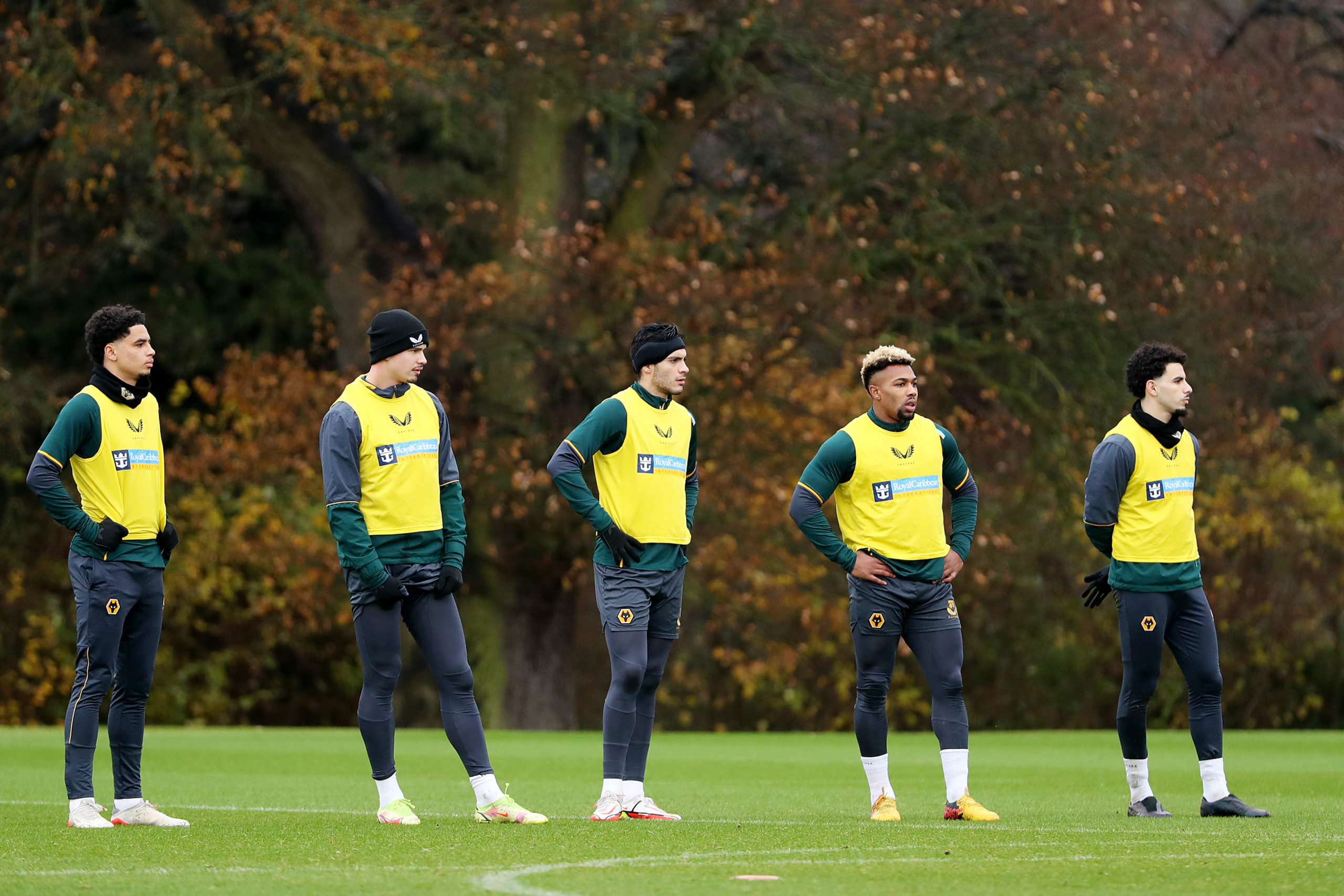 Photo by Jack Thomas - WWFC/Wolves via Getty Images