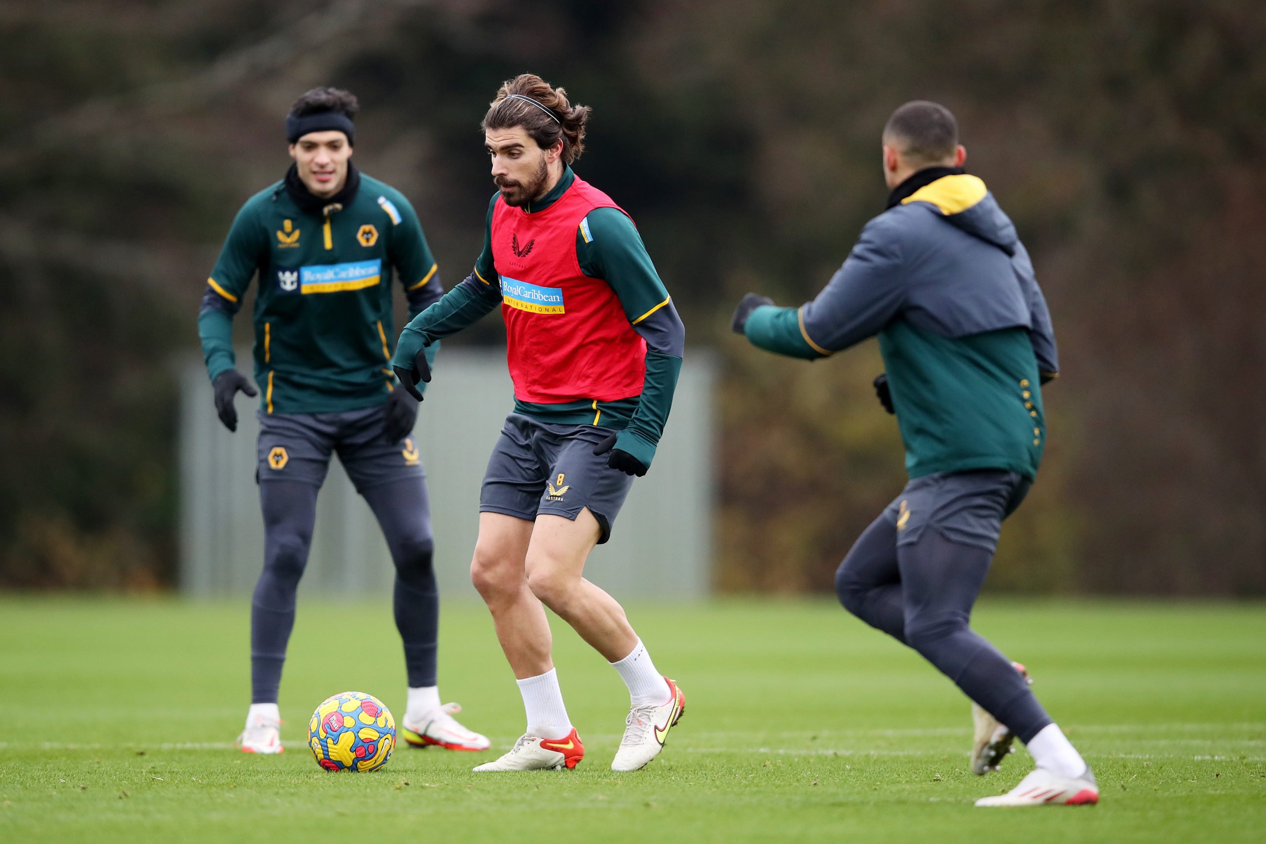 Photo by Jack Thomas - WWFC/Wolves via Getty Images