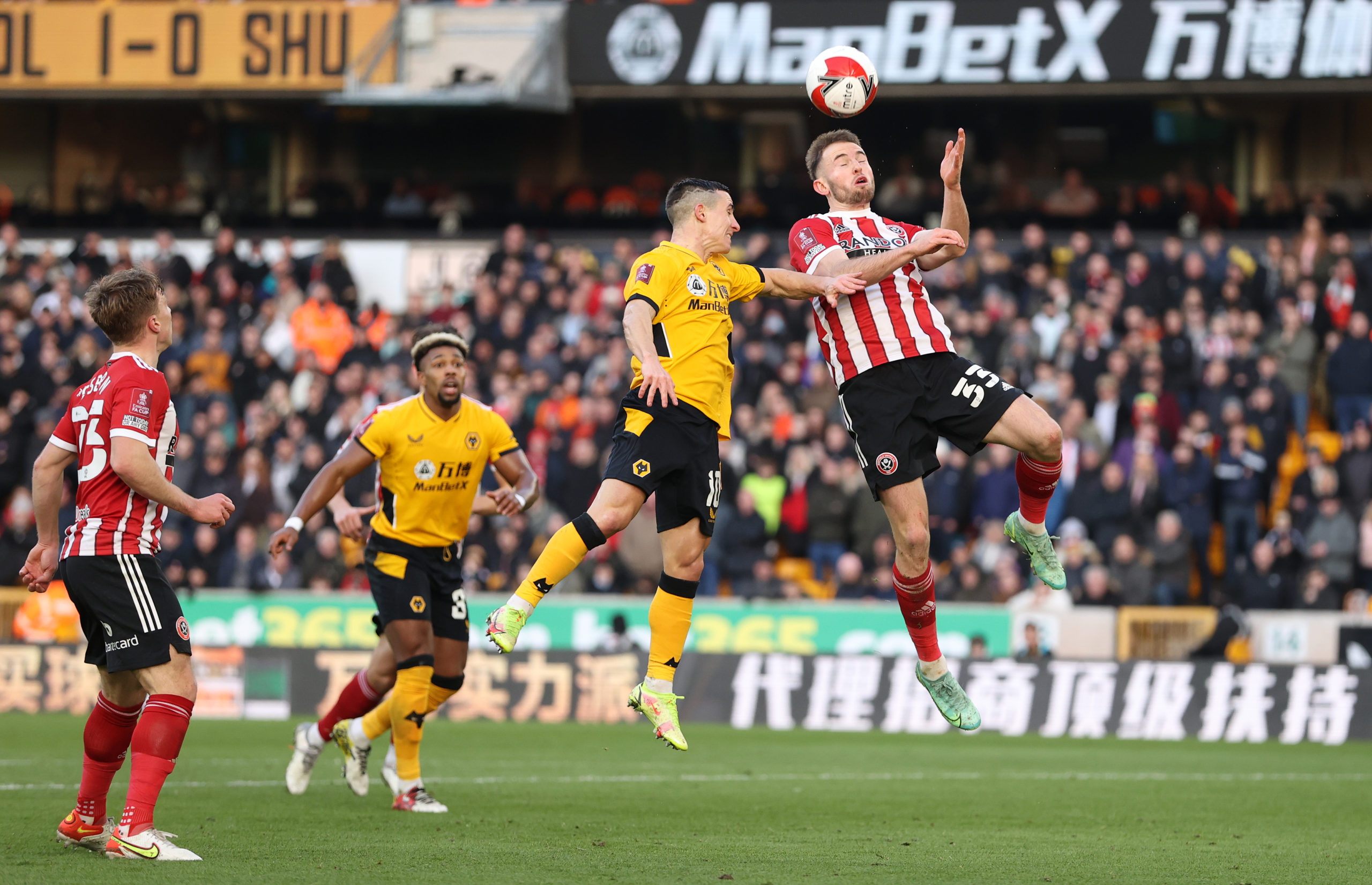 Photo by Jack Thomas - WWFC/Wolves via Getty Images