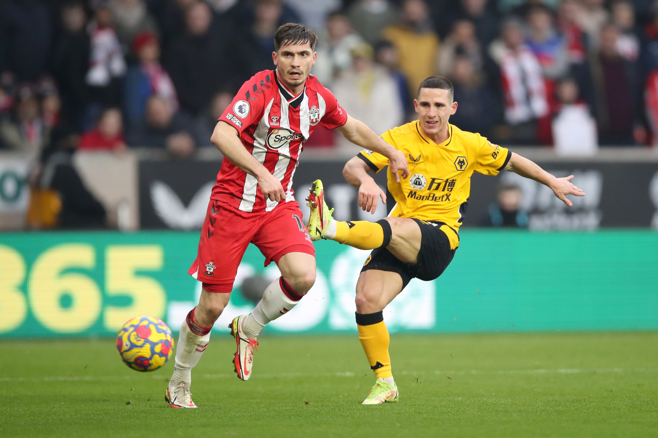 Photo by Jack Thomas - WWFC/Wolves via Getty Images