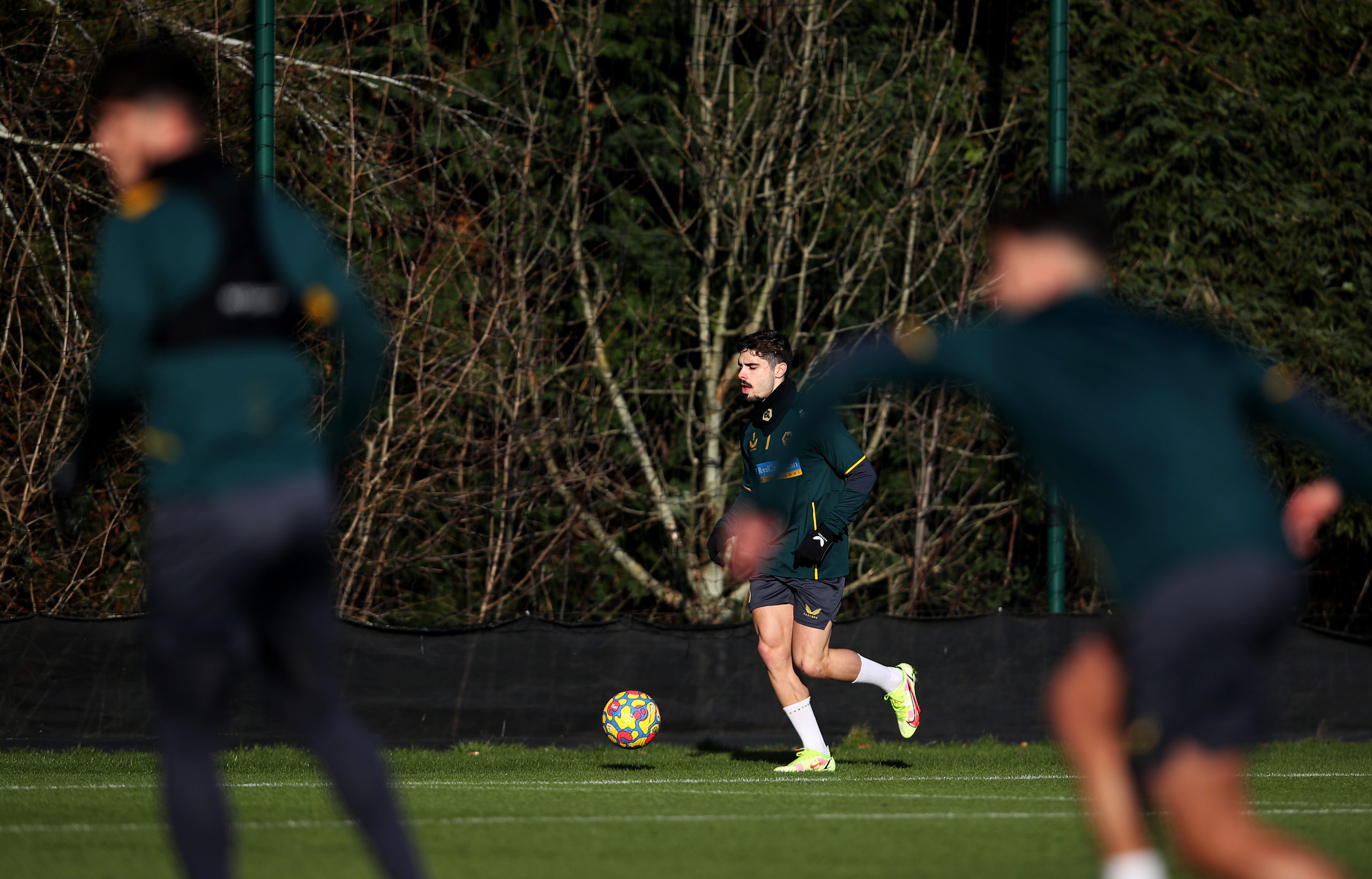 Photo by Jack Thomas - WWFC/Wolves via Getty Images
