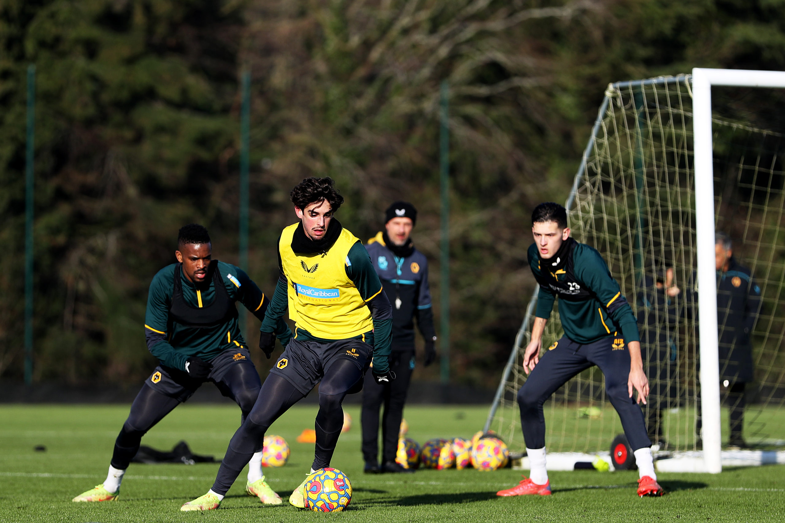 Photo by Jack Thomas - WWFC/Wolves via Getty Images