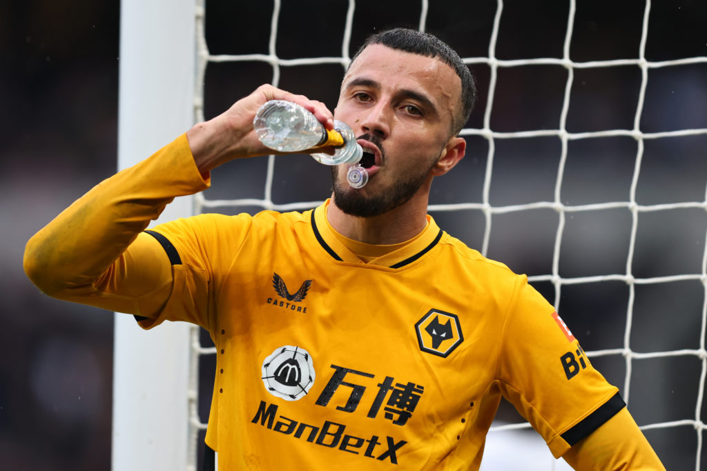 Tottenham Hotspur v Wolverhampton Wanderers - Premier League