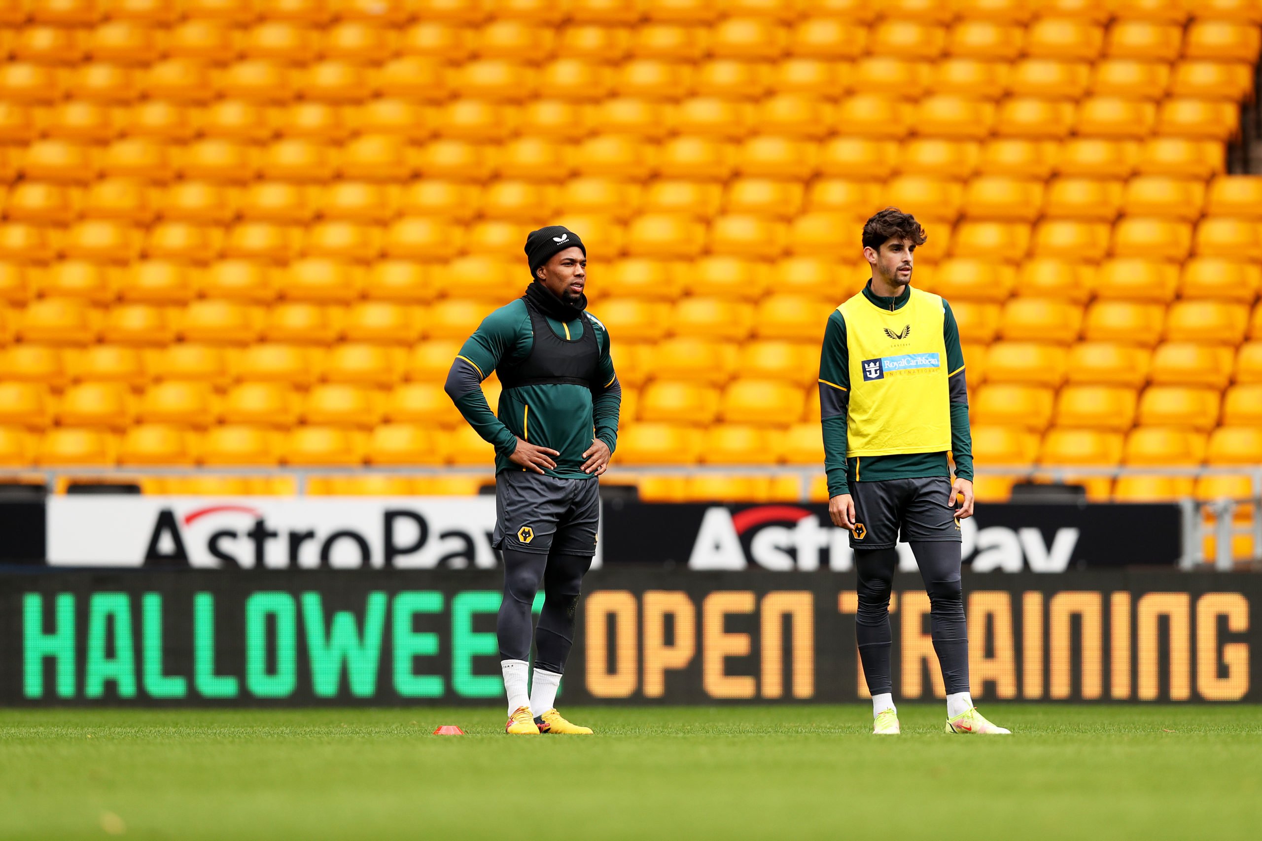 Photo by Jack Thomas - WWFC/Wolves via Getty Images