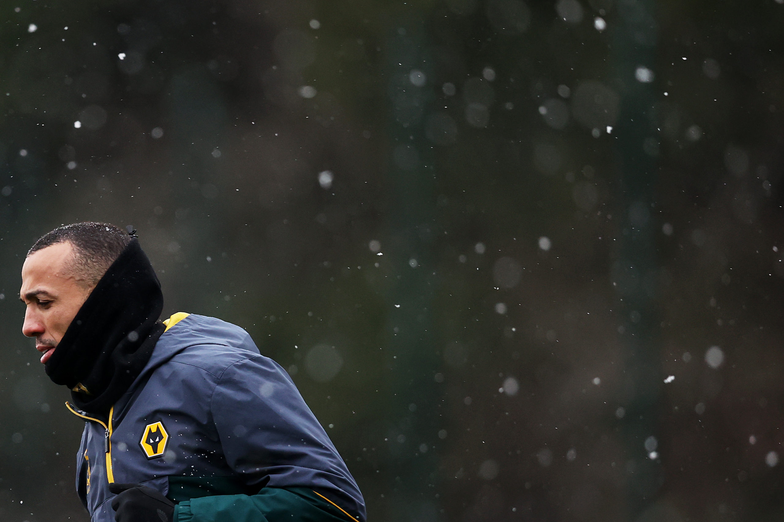 Photo by Jack Thomas - WWFC/Wolves via Getty Images