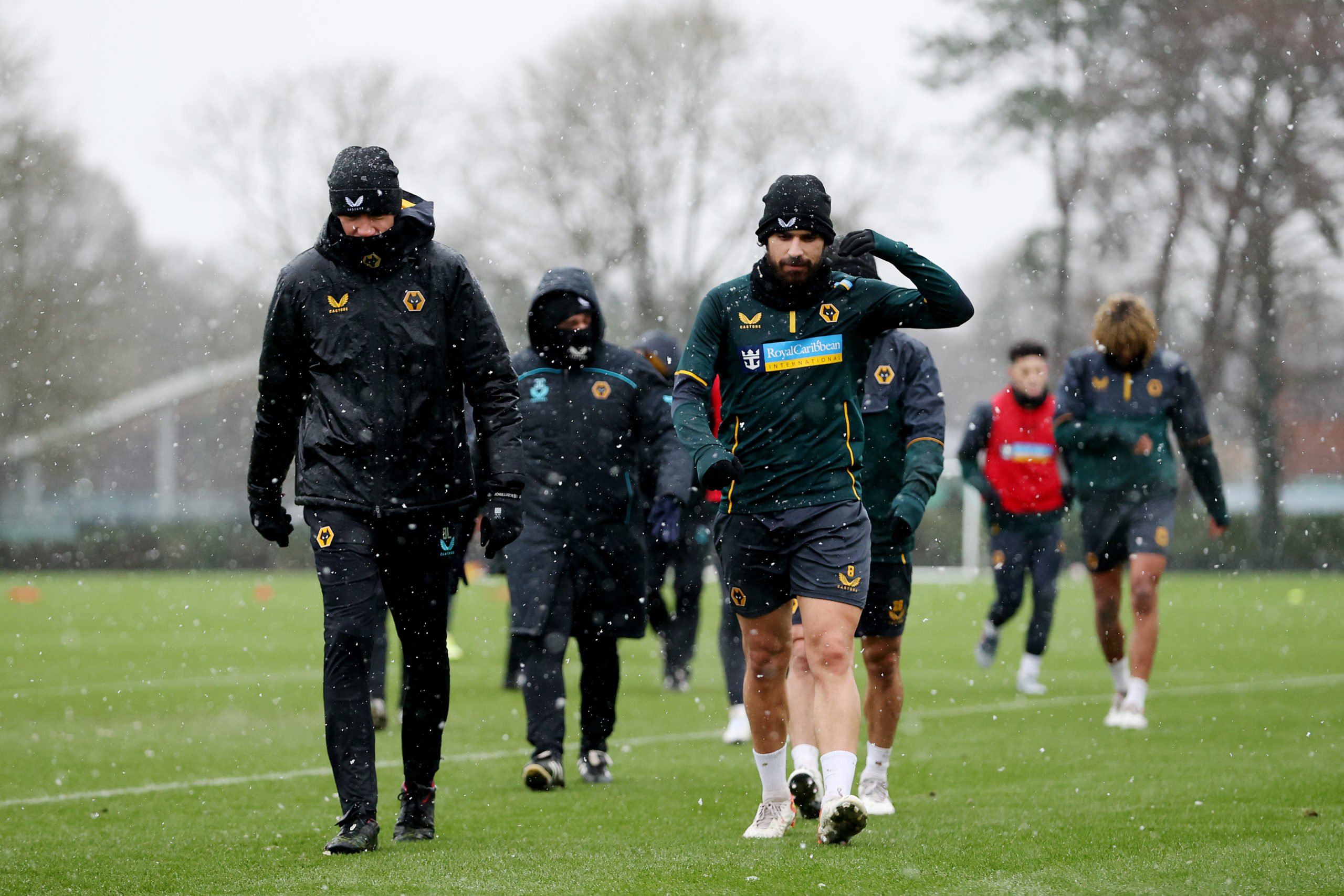 Photo by Jack Thomas - WWFC/Wolves via Getty Images