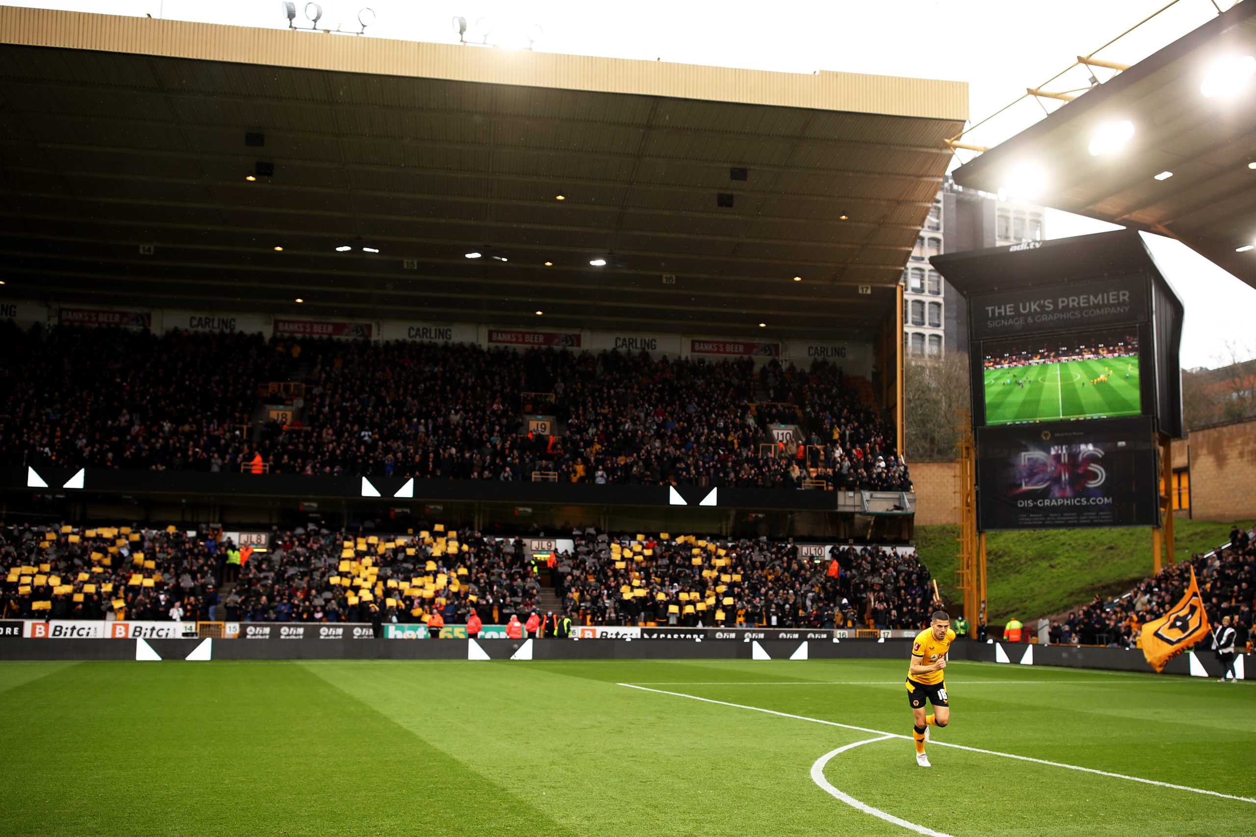 Photo by Jack Thomas - WWFC/Wolves via Getty Images