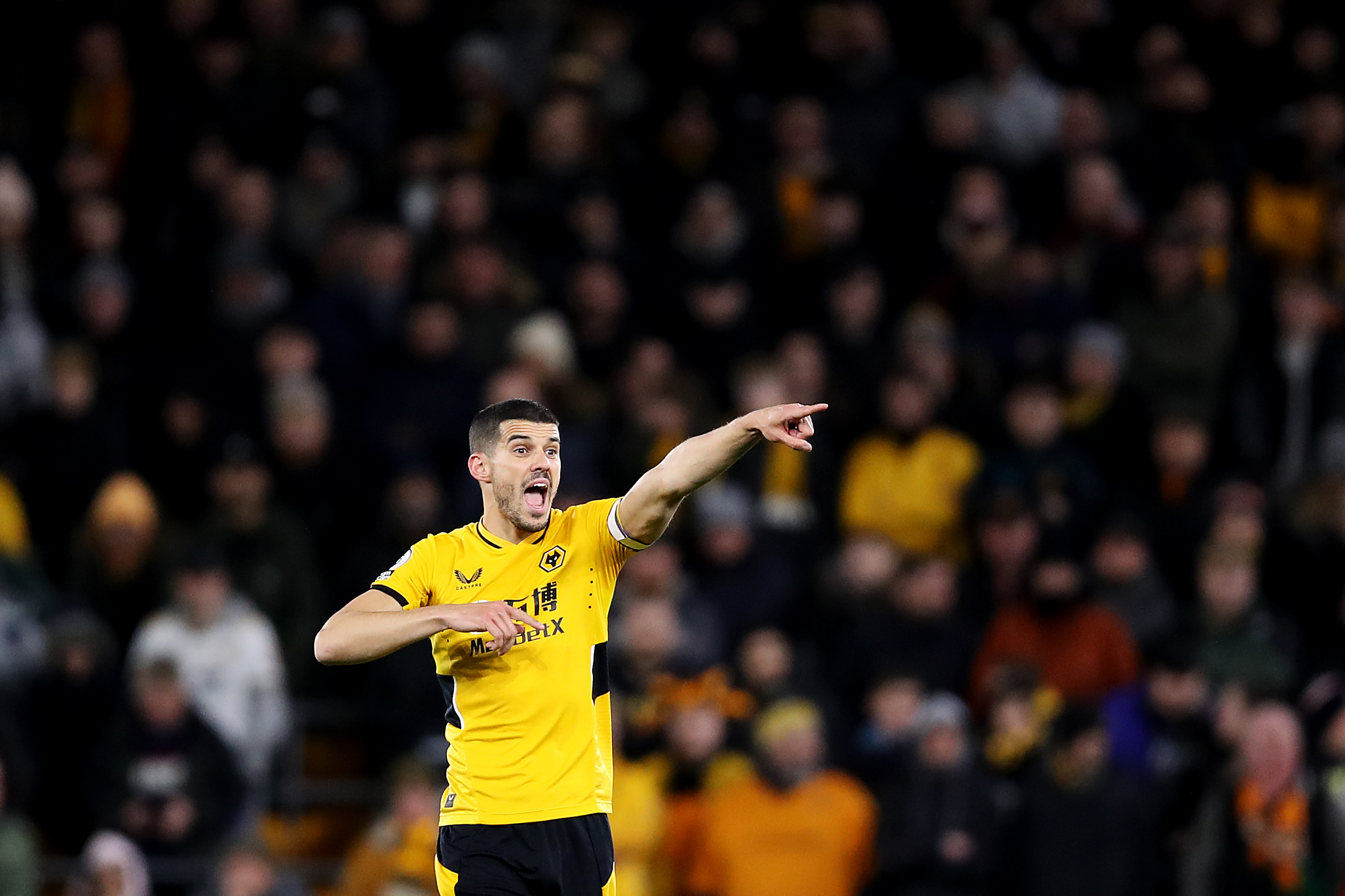 Photo by Jack Thomas - WWFC/Wolves via Getty Images