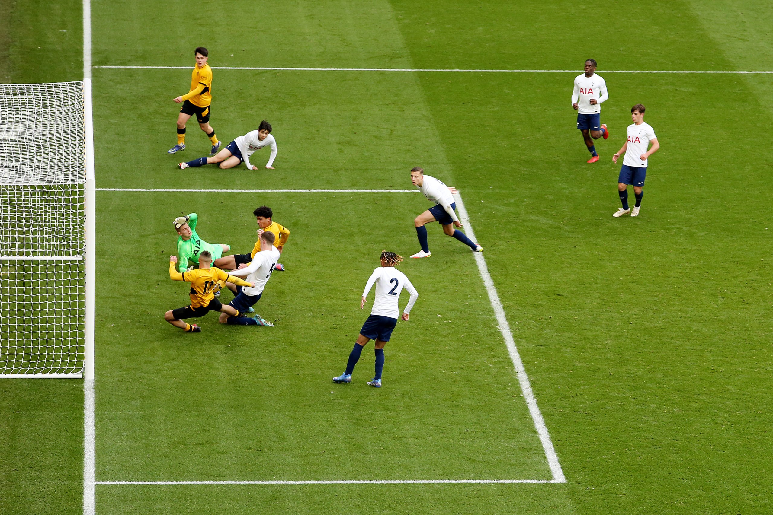 Photo by Jack Thomas - WWFC/Wolves via Getty Images