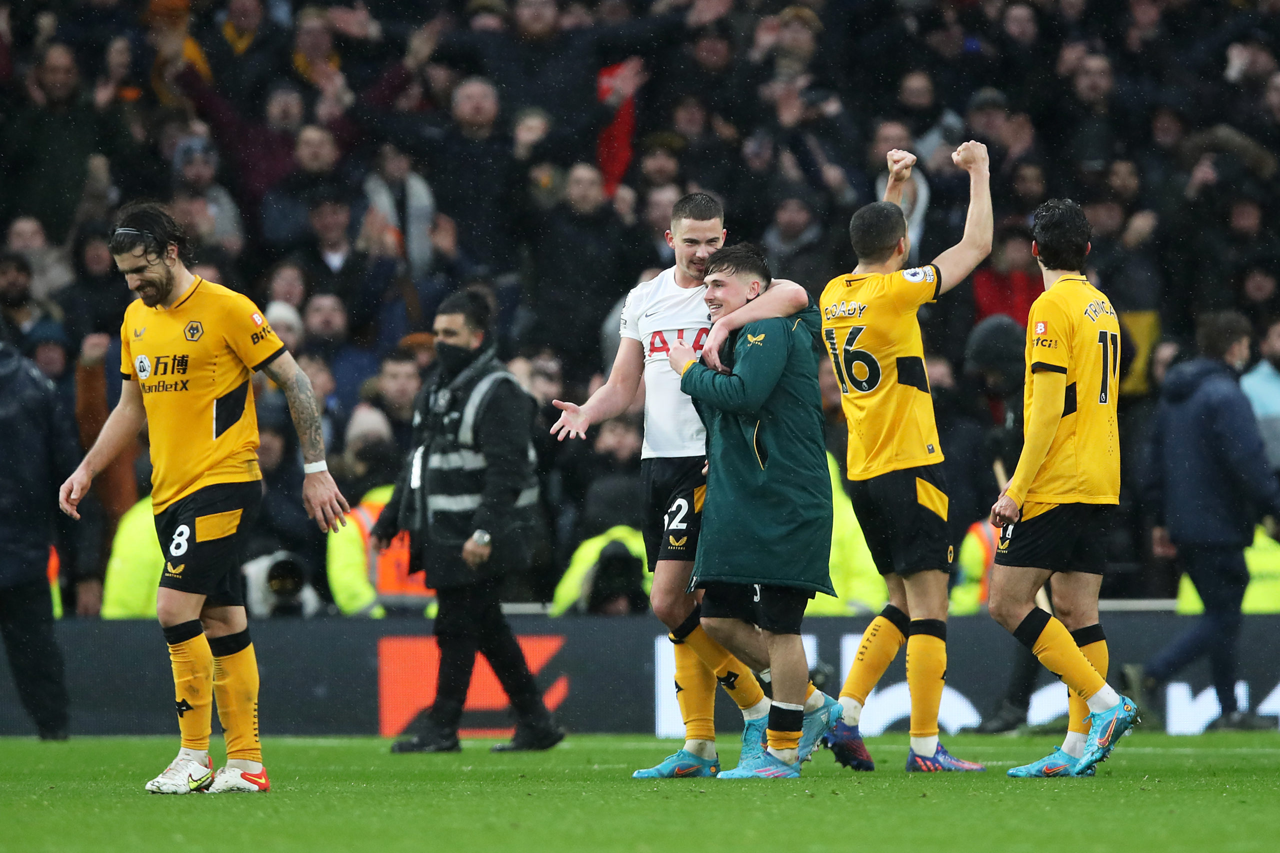 Photo by Jack Thomas - WWFC/Wolves via Getty Images