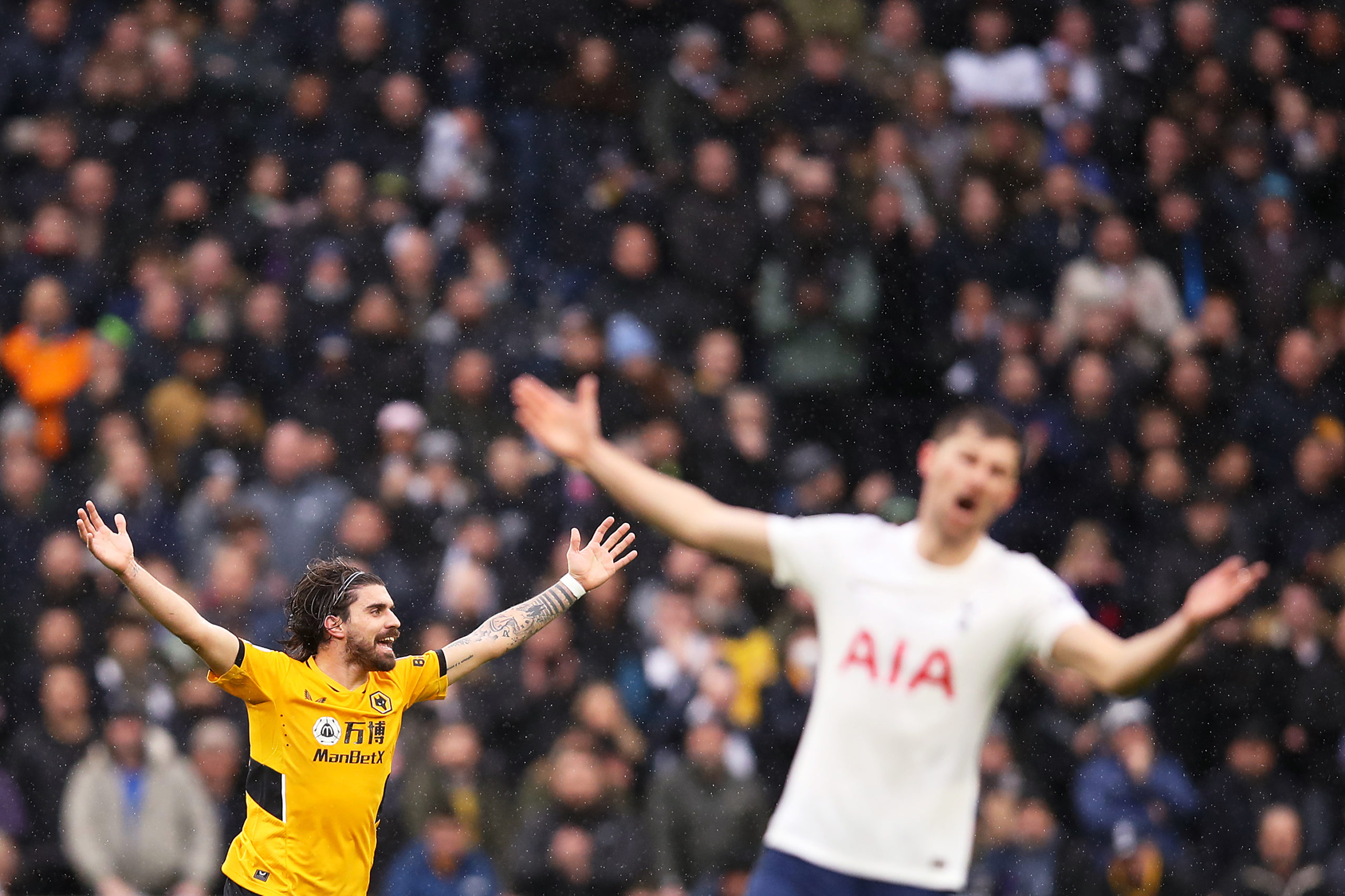 Photo by Jack Thomas - WWFC/Wolves via Getty Images