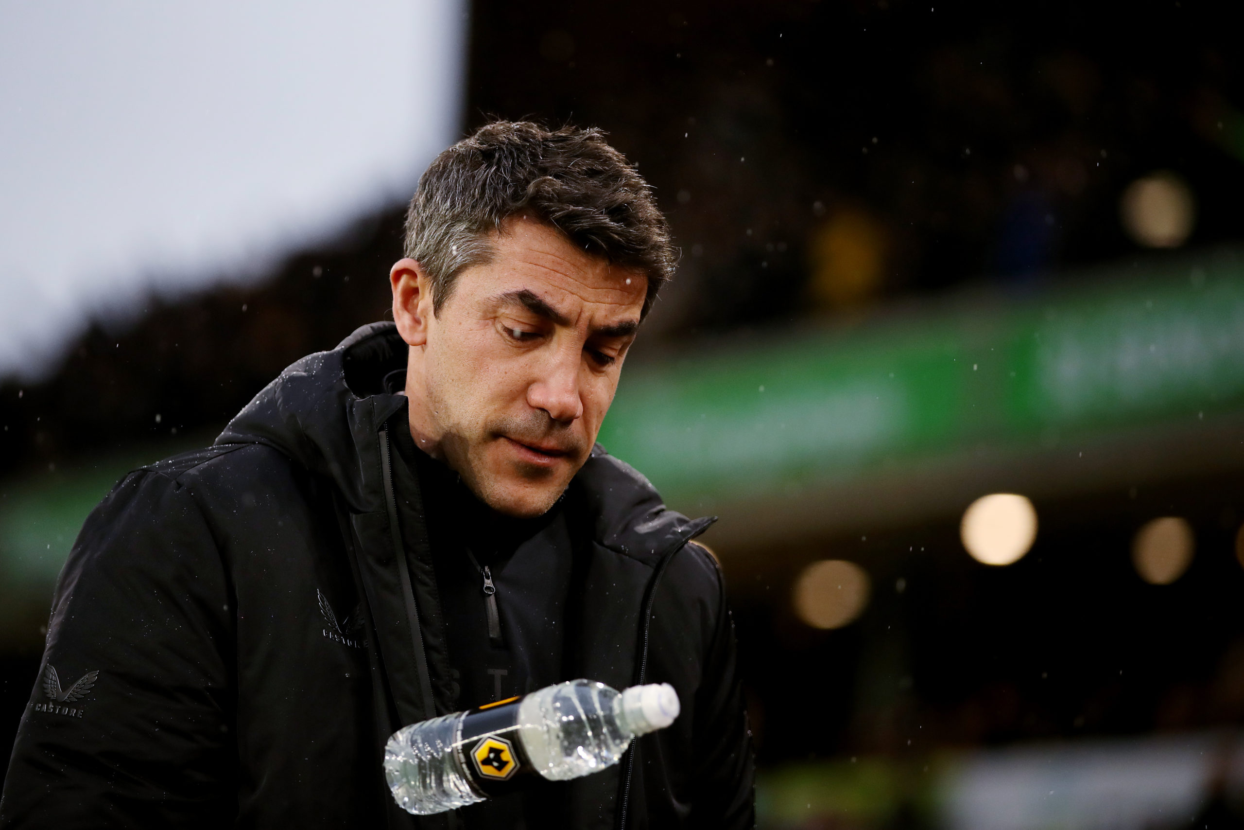 Photo by Jack Thomas - WWFC/Wolves via Getty Images