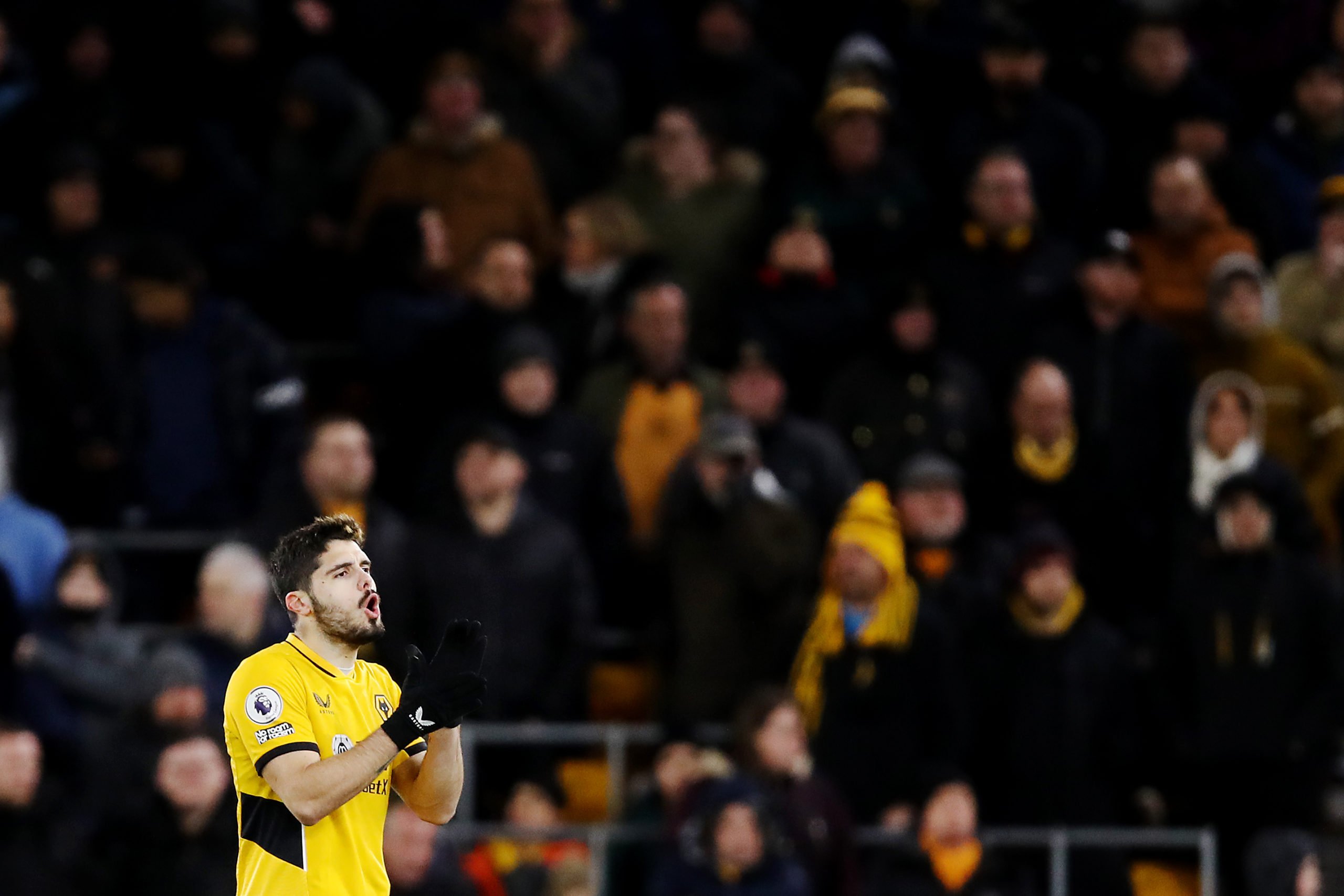 Photo by Jack Thomas - WWFC/Wolves via Getty Images