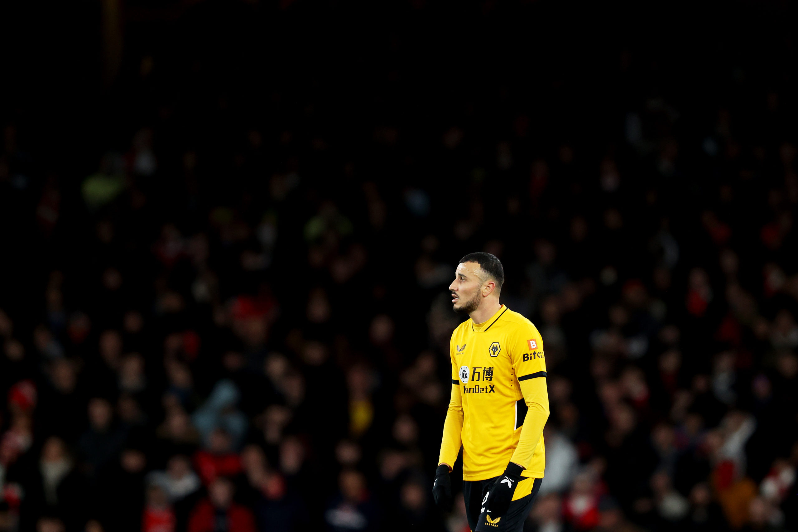 Photo by Jack Thomas - WWFC/Wolves via Getty Images