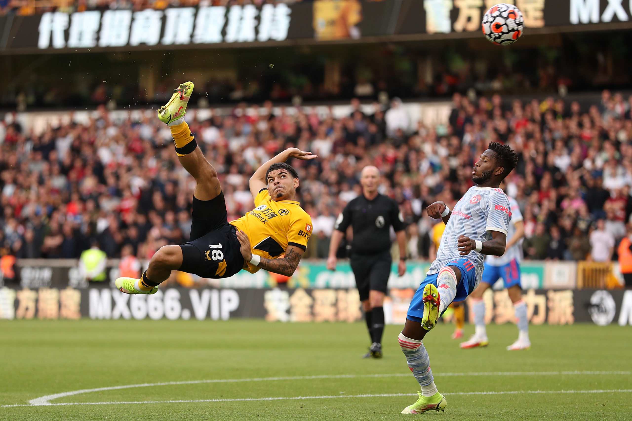 Photo by Jack Thomas - WWFC/Wolves via Getty Images