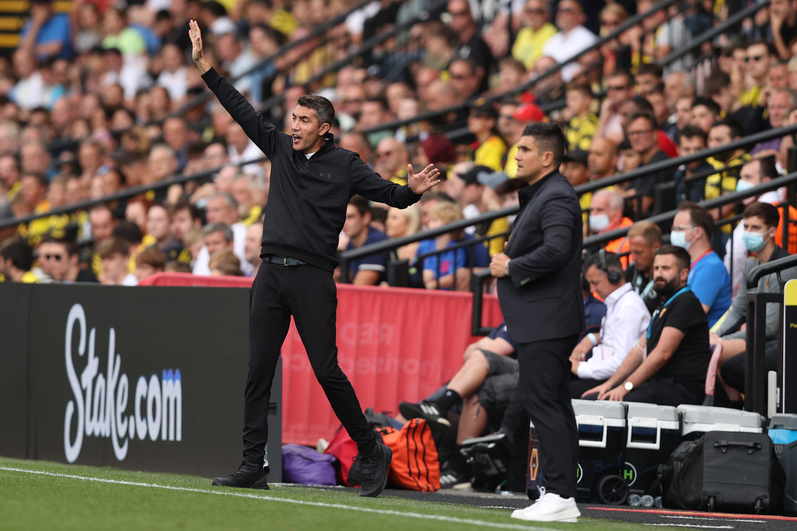 Photo by Jack Thomas - WWFC/Wolves via Getty Images