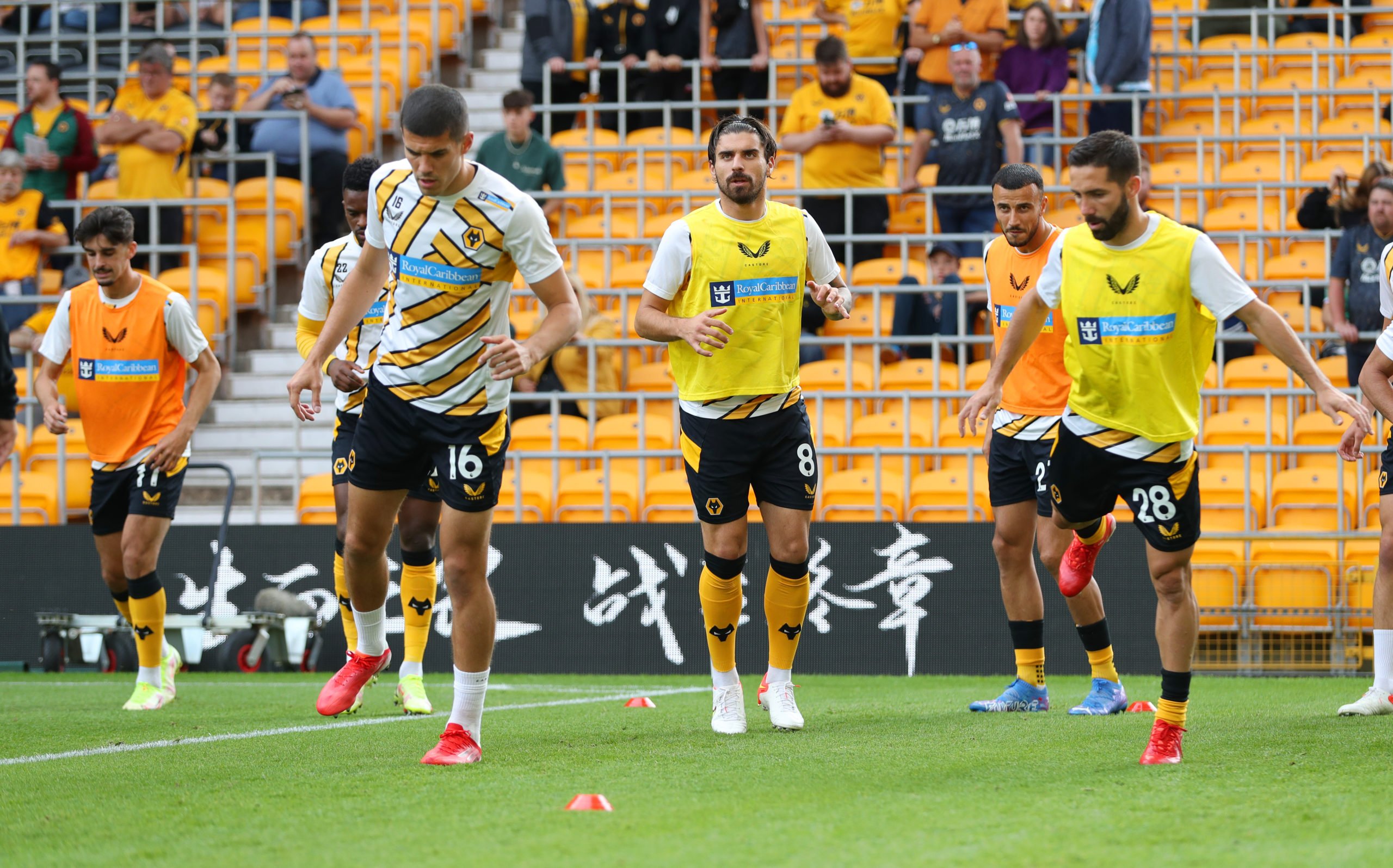 Photo by Jack Thomas - WWFC/Wolves via Getty Images