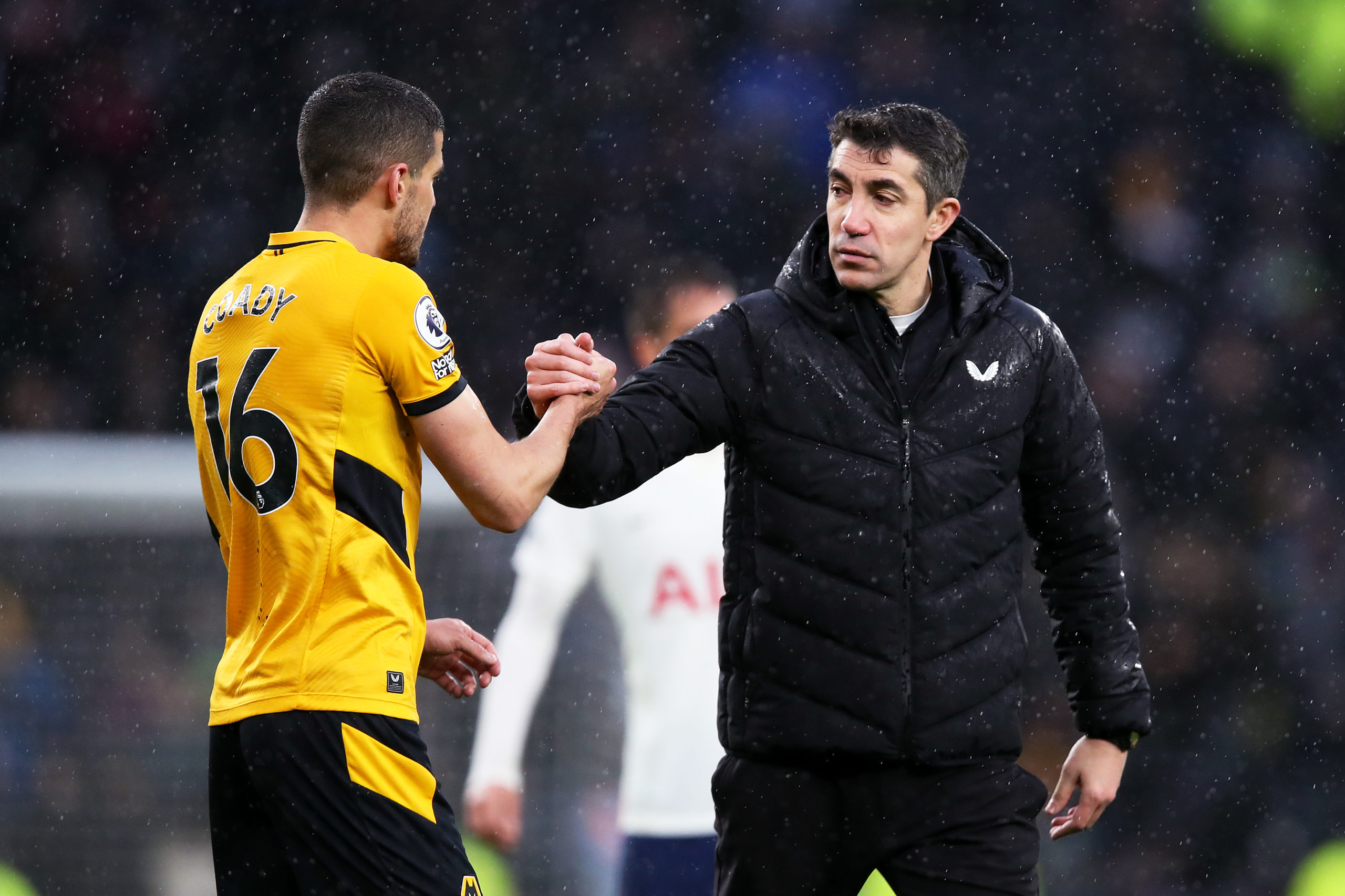 Photo by Jack Thomas - WWFC/Wolves via Getty Images