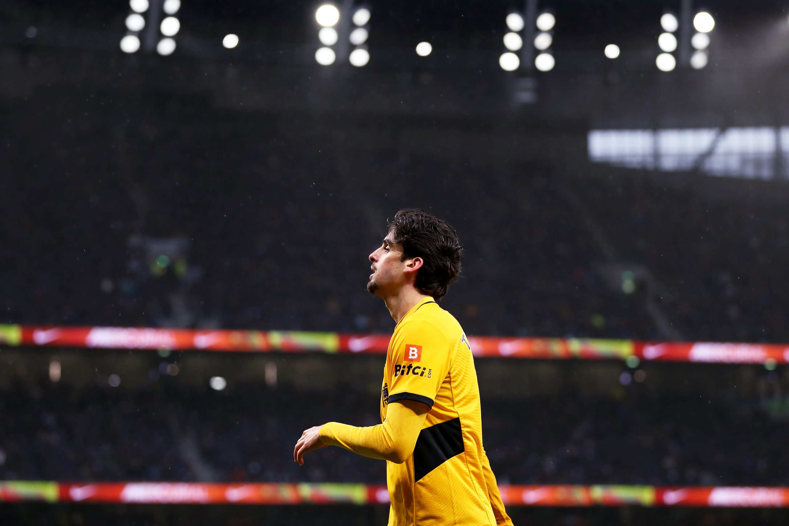 Photo by Jack Thomas - WWFC/Wolves via Getty Images