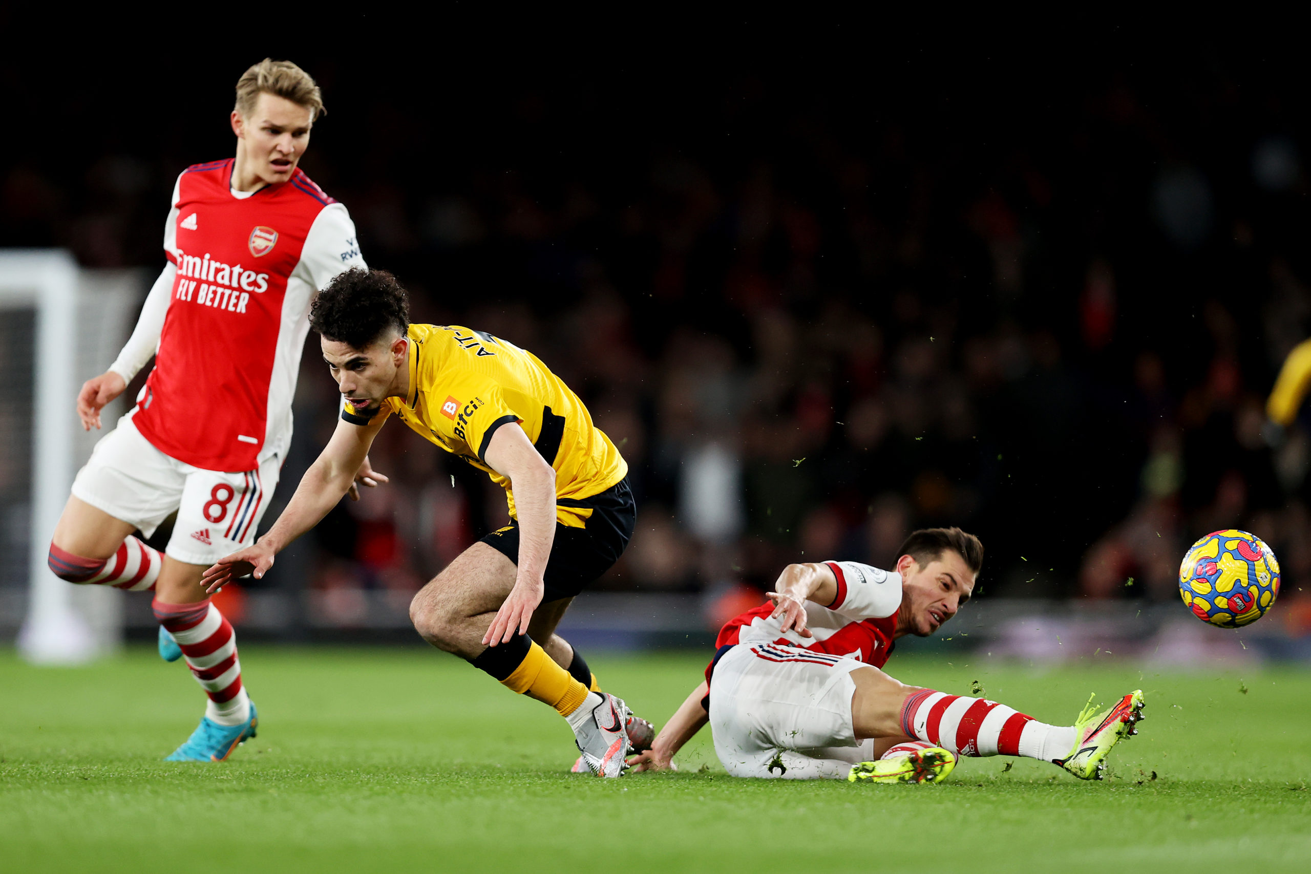Photo by Jack Thomas - WWFC/Wolves via Getty Images