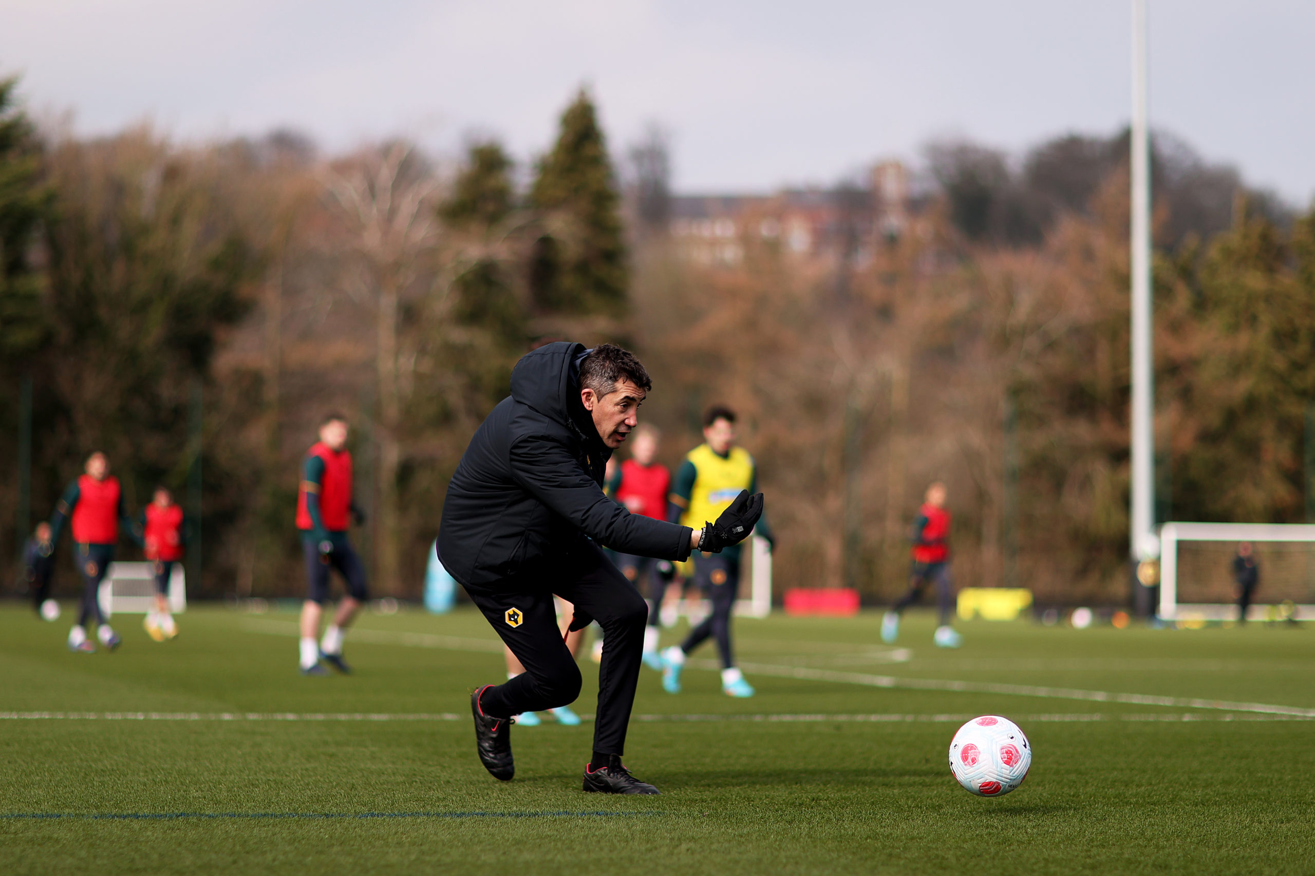 Photo by Jack Thomas - WWFC/Wolves via Getty Images
