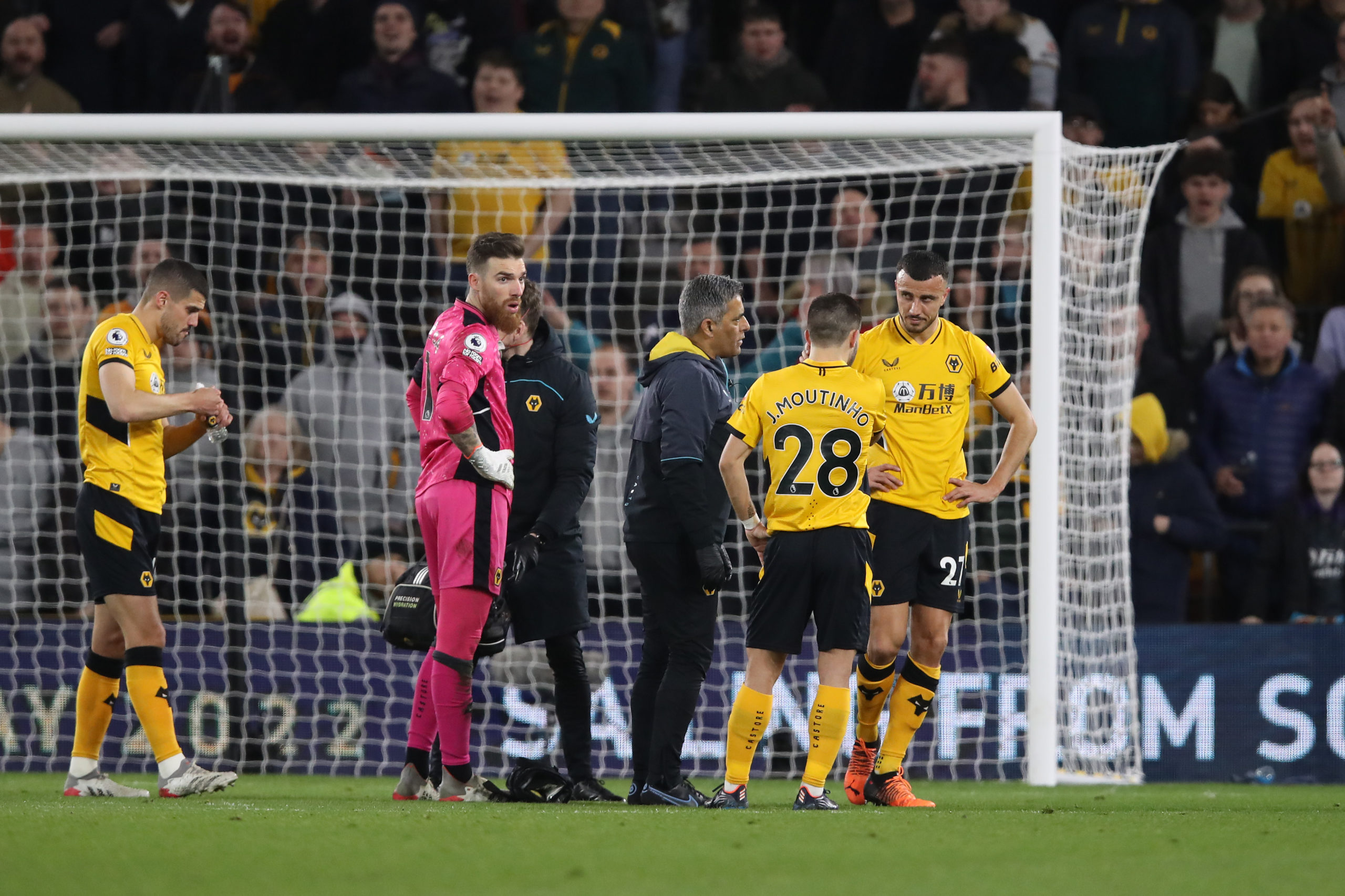 Photo by Jack Thomas - WWFC/Wolves via Getty Images