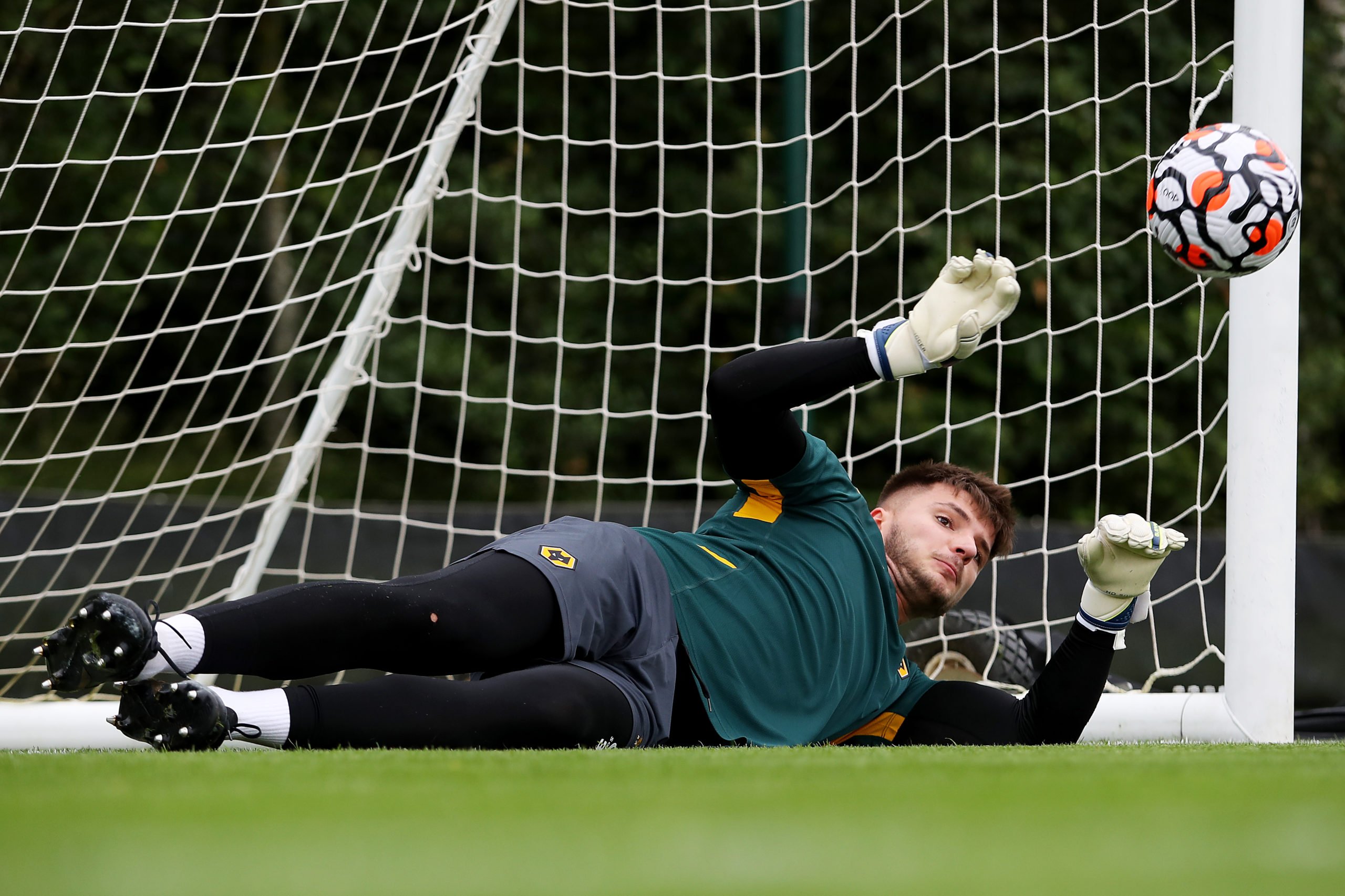 Photo by Jack Thomas - WWFC/Wolves via Getty Images
