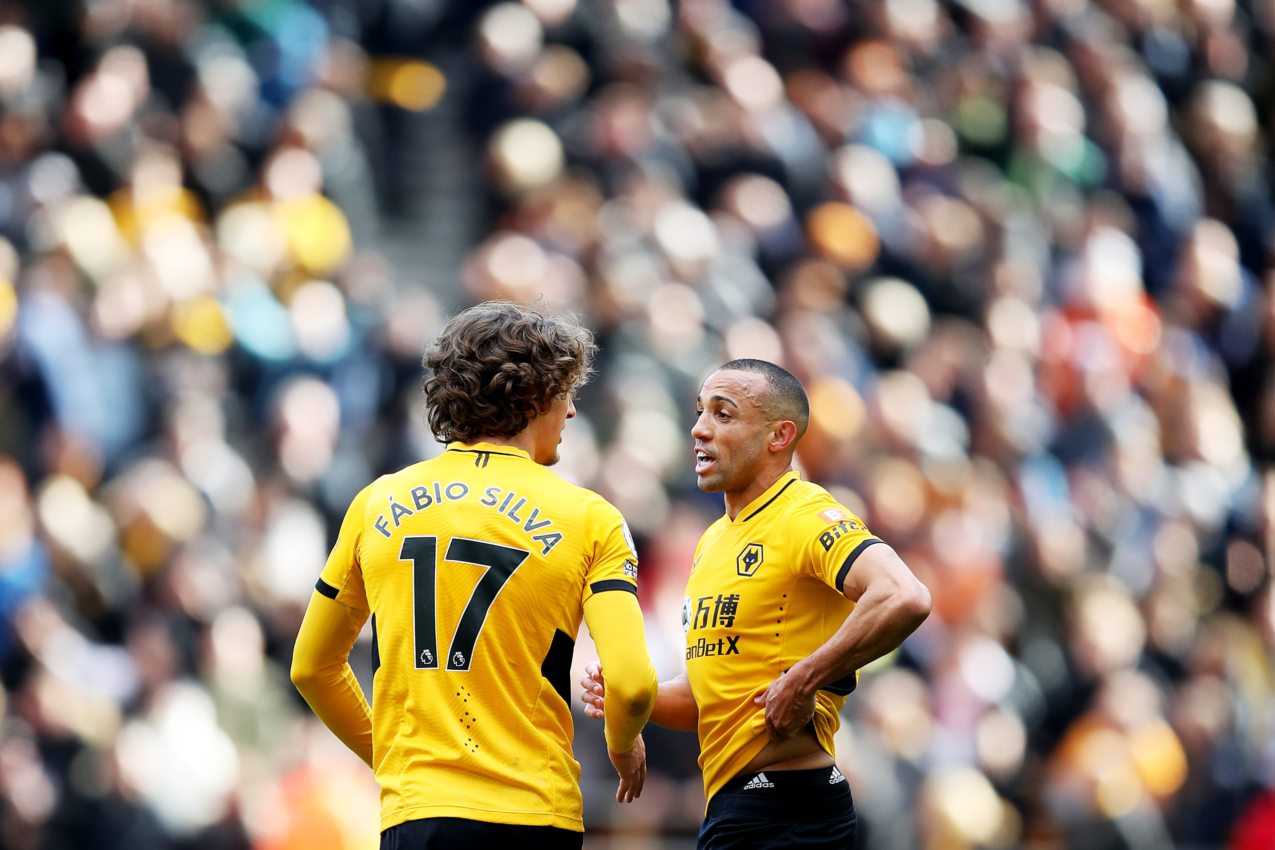 Photo by Jack Thomas - WWFC/Wolves via Getty Images
