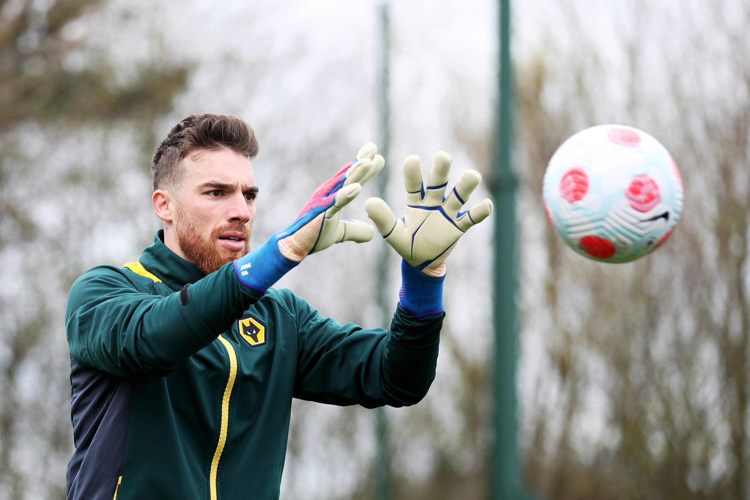 Photo by Jack Thomas - WWFC/Wolves via Getty Images