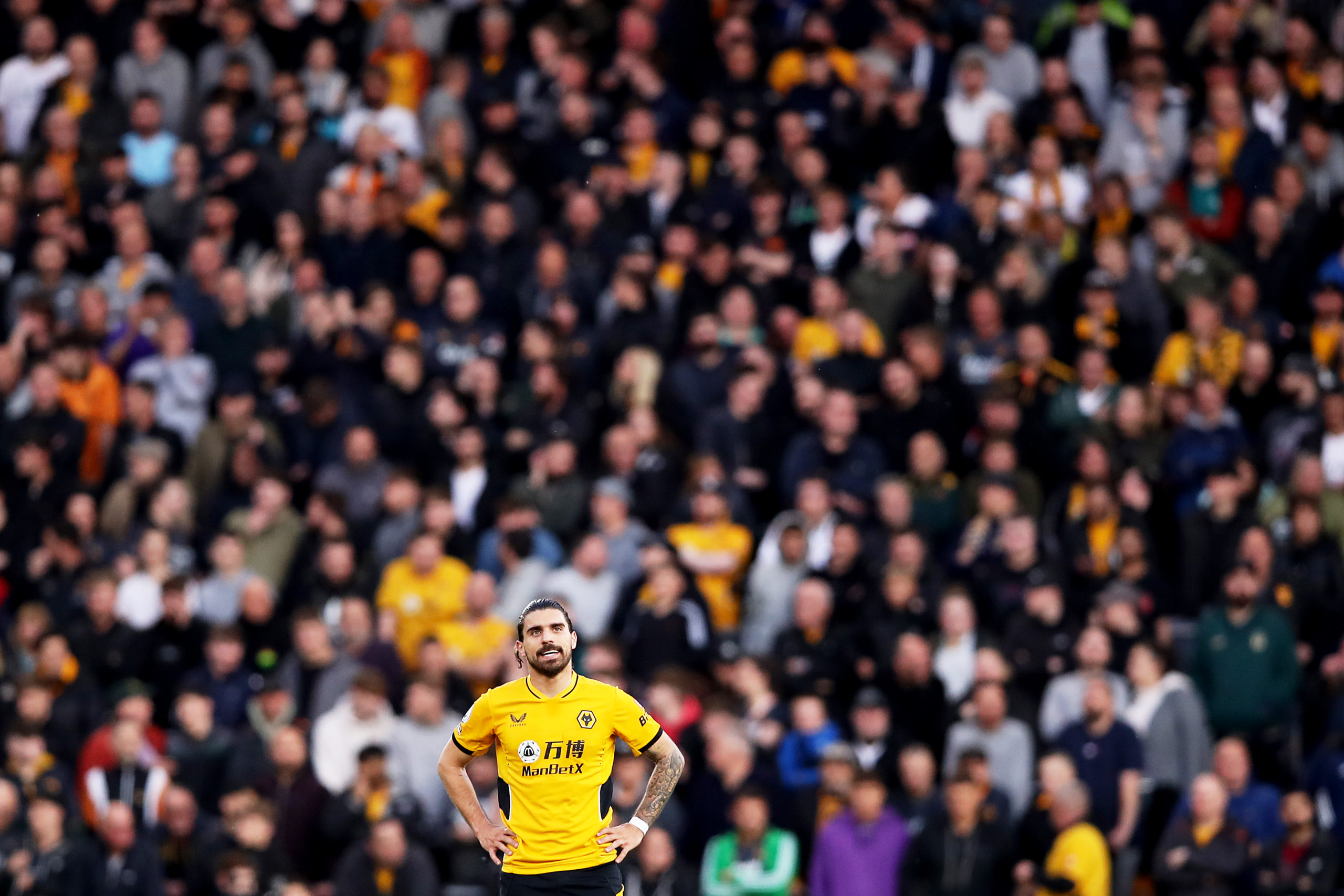 Photo by Jack Thomas - WWFC/Wolves via Getty Images