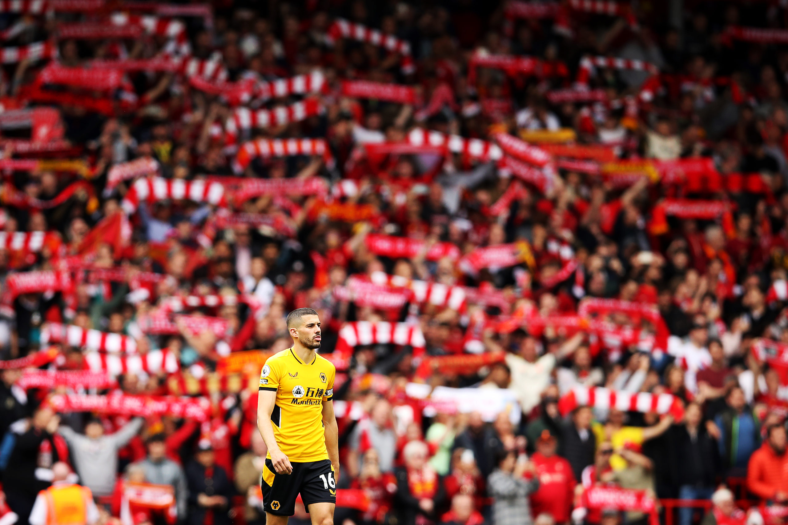 Photo by Jack Thomas - WWFC/Wolves via Getty Images