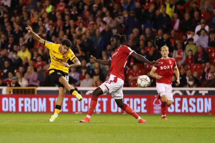 Photo by Jack Thomas - WWFC/Wolves via Getty Images