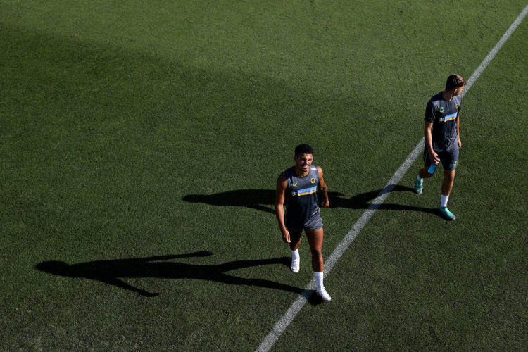 Photo by Jack Thomas - WWFC/Wolves via Getty Images
