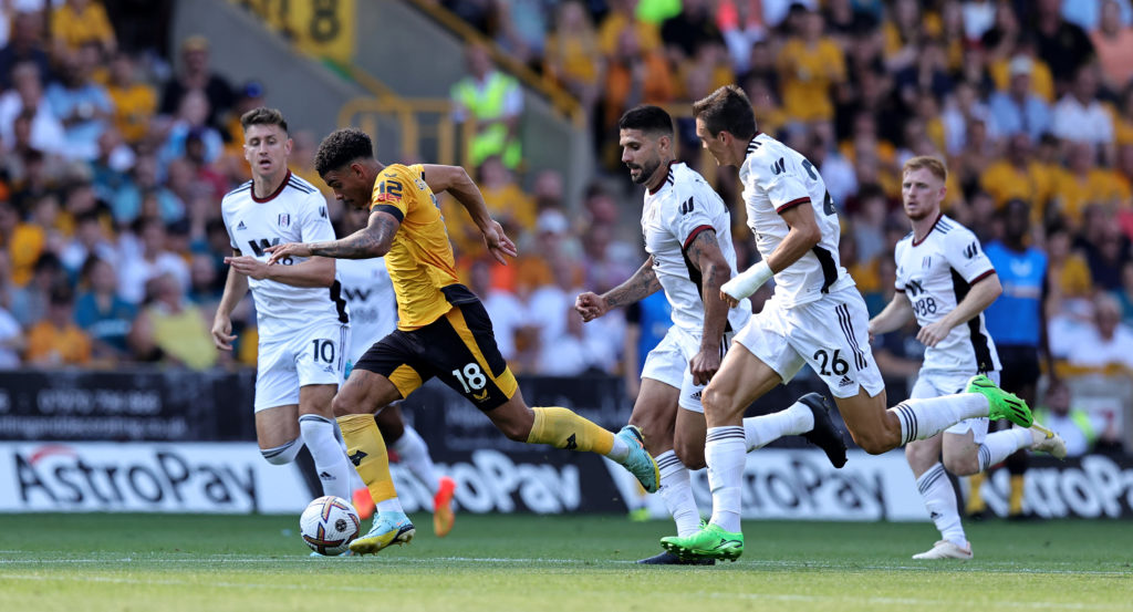 Wolverhampton Wanderers v Fulham FC - Premier League
