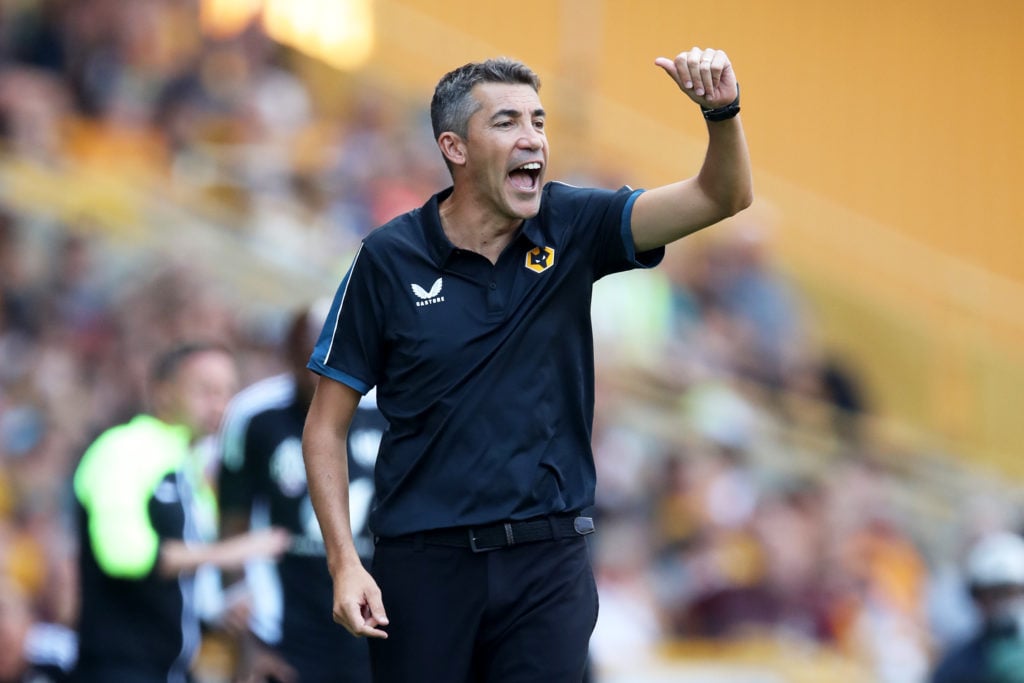 Wolverhampton Wanderers v Fulham FC - Premier League