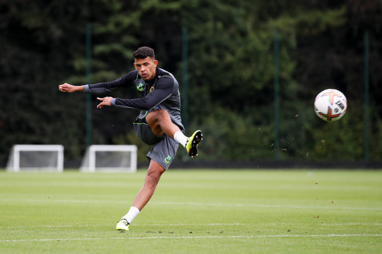 Photo by Jack Thomas - WWFC/Wolves via Getty Images