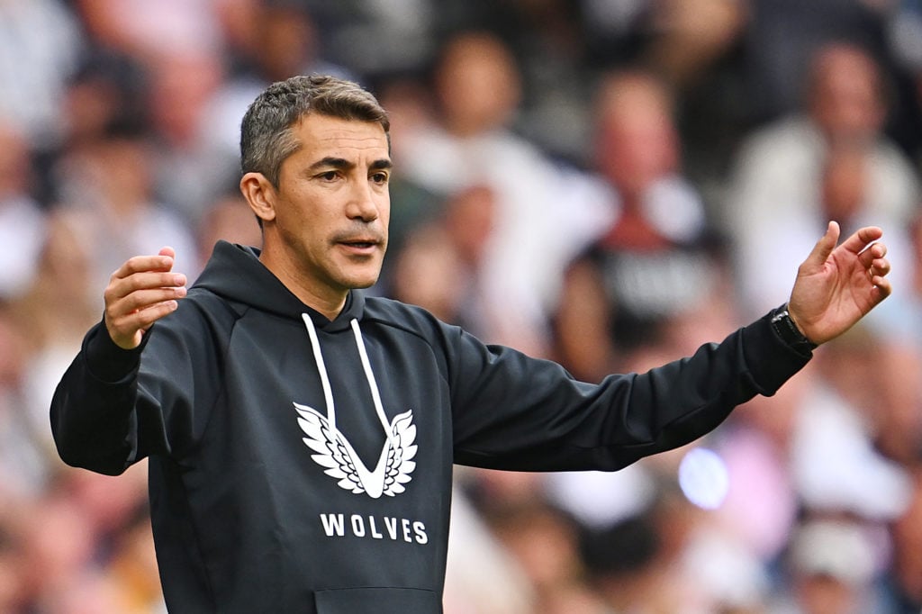 Tottenham Hotspur v Wolverhampton Wanderers - Premier League