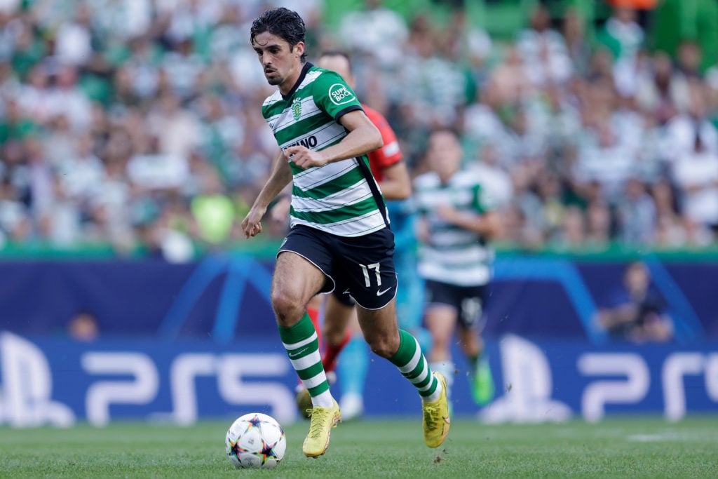 Sporting CP v Tottenham Hotspur - UEFA Champions League