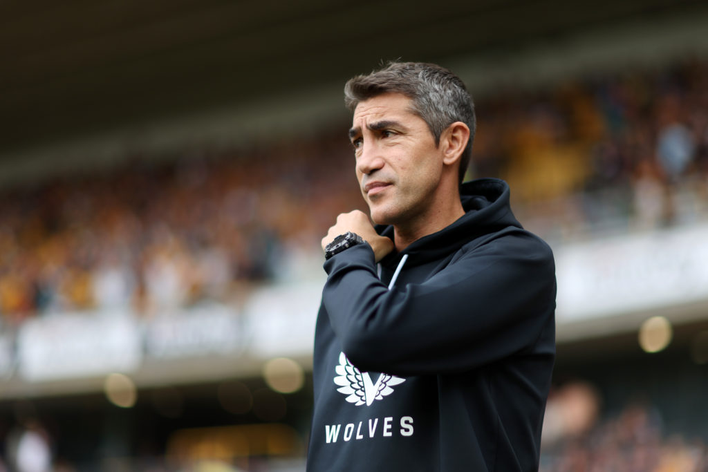 Wolverhampton Wanderers v Southampton FC - Premier League