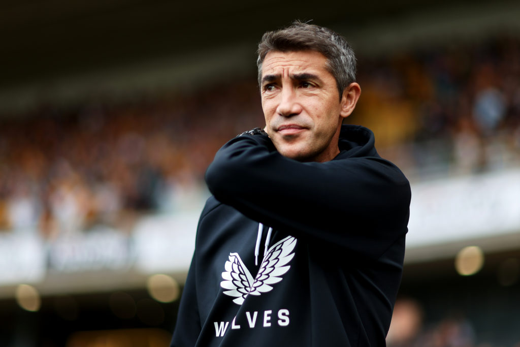 Wolverhampton Wanderers v Southampton FC - Premier League
