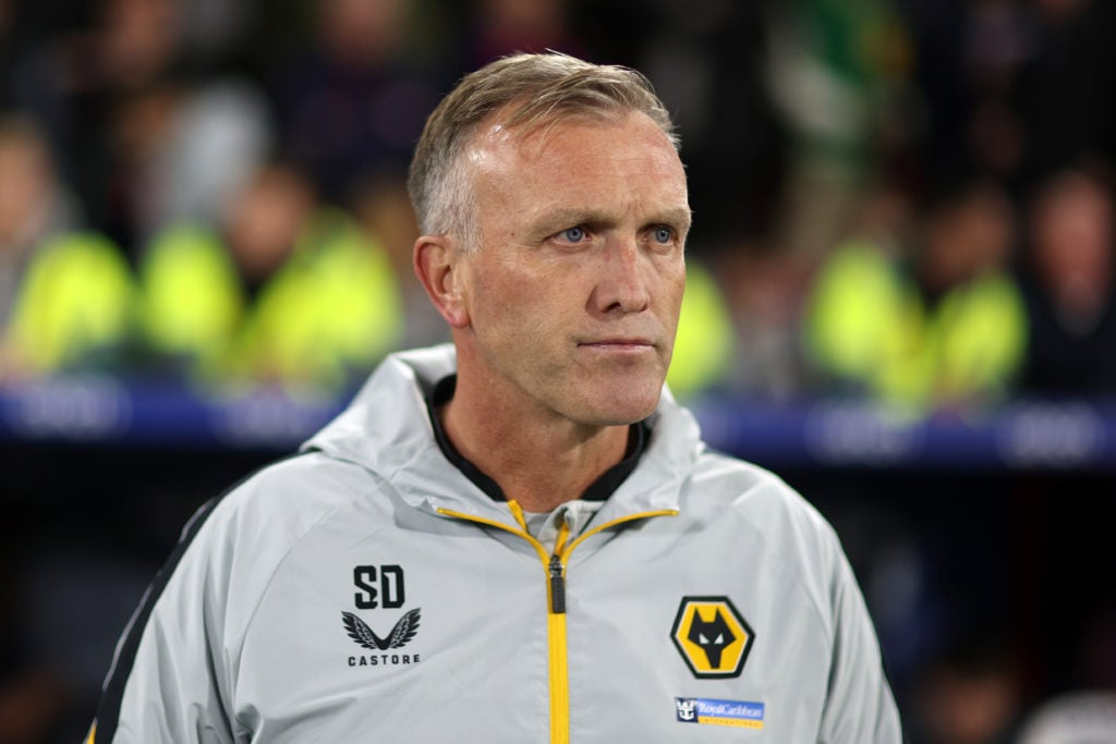 Crystal Palace v Wolverhampton Wanderers - Premier League