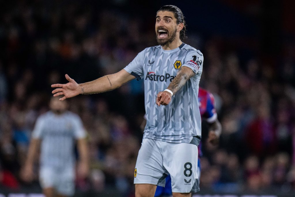 Crystal Palace v Wolverhampton Wanderers - Premier League